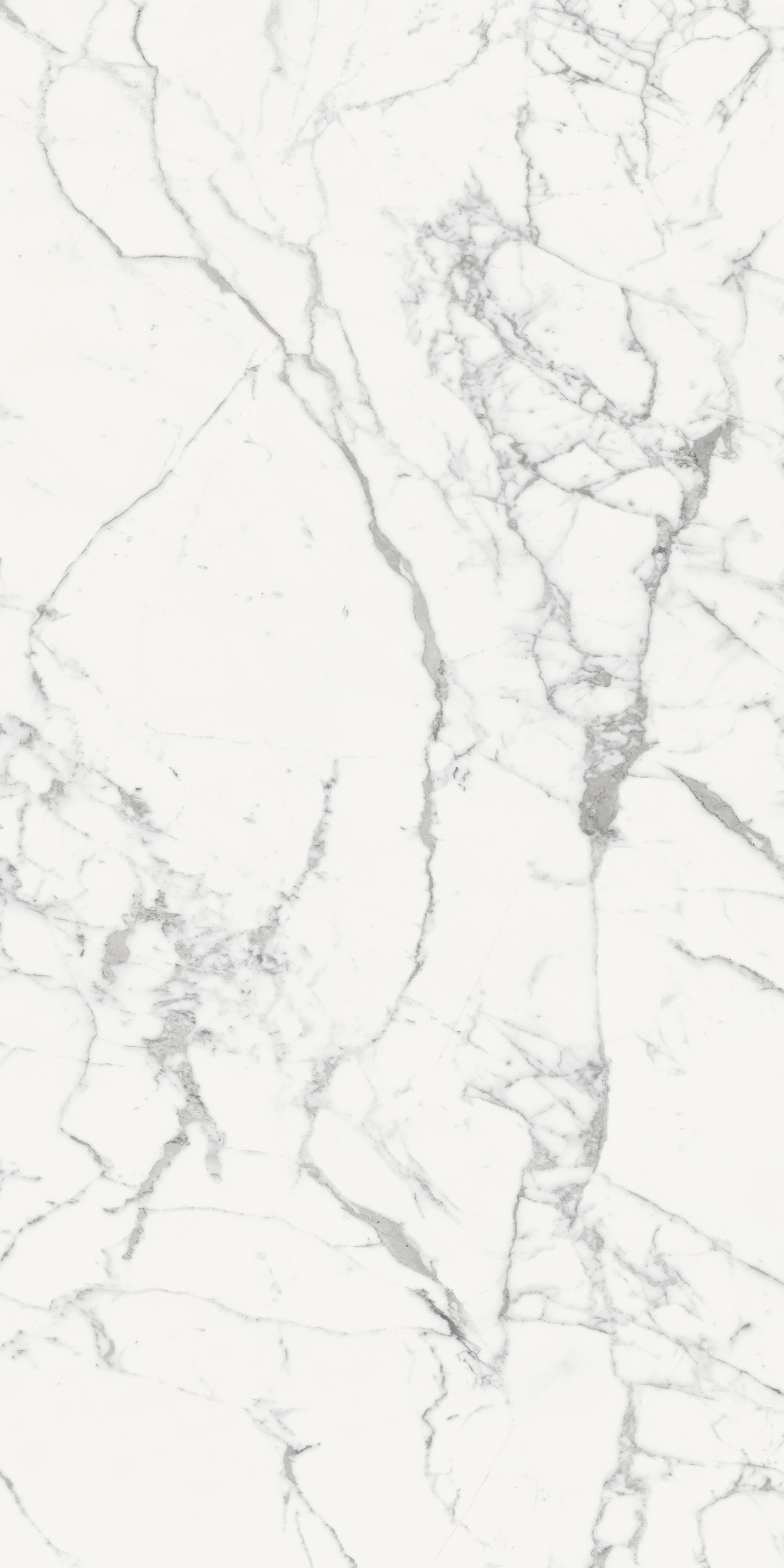 Origines Blanc 120x240 матовая