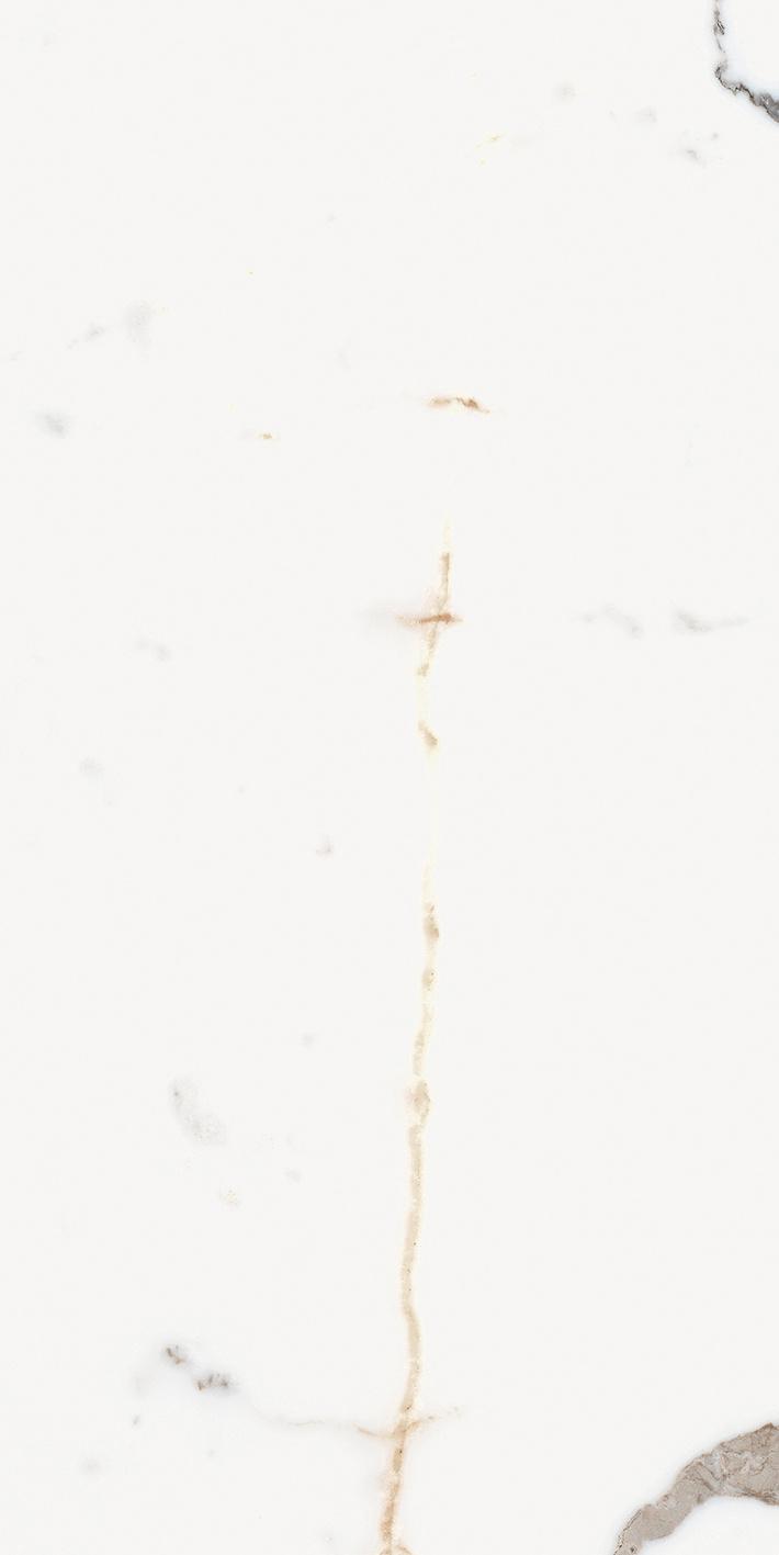 Origines Or 60x120 матовая 6 мм