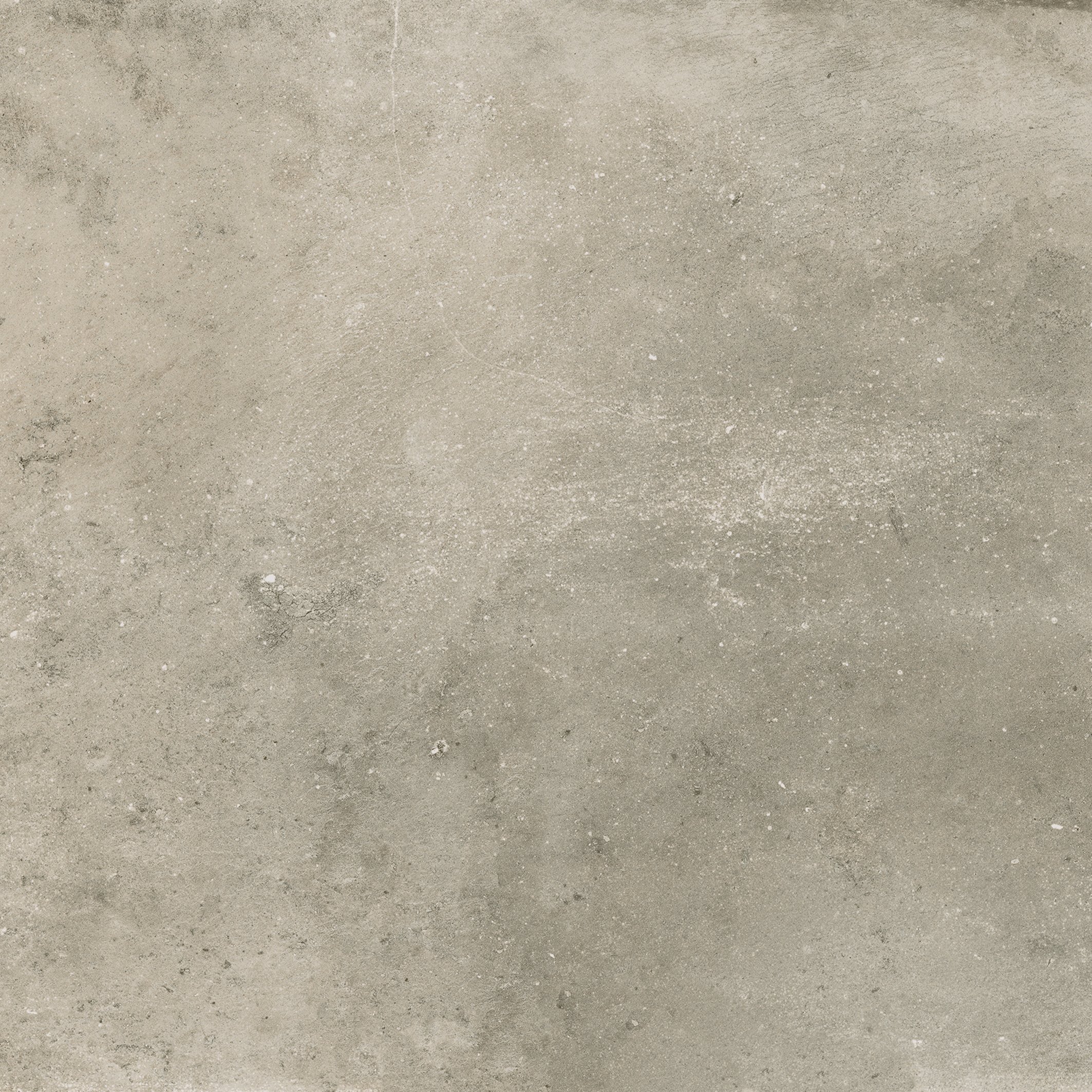 Beige 80x80