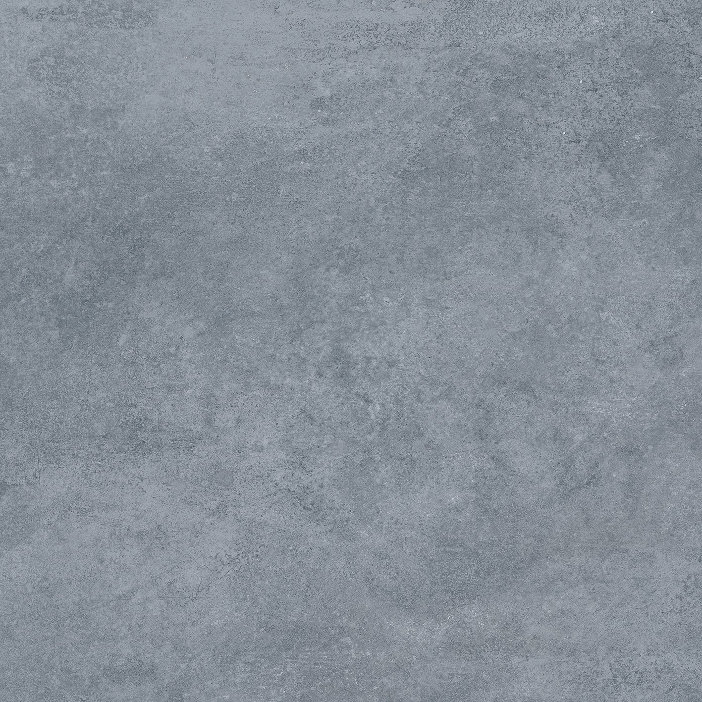 Blueberry 60x60