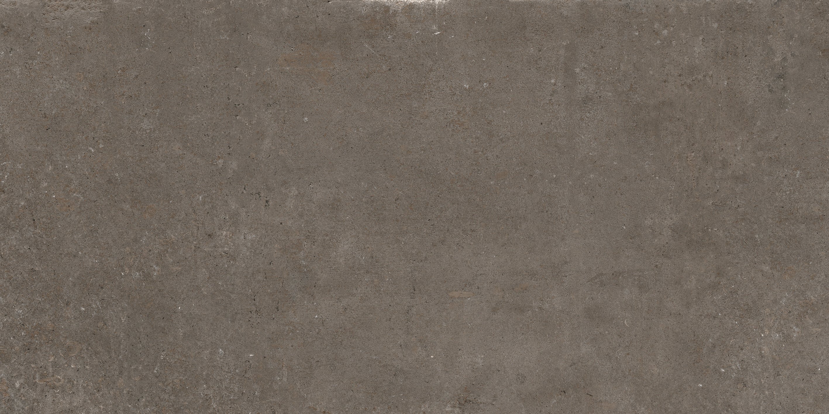 Coffee 60x120 матовая
