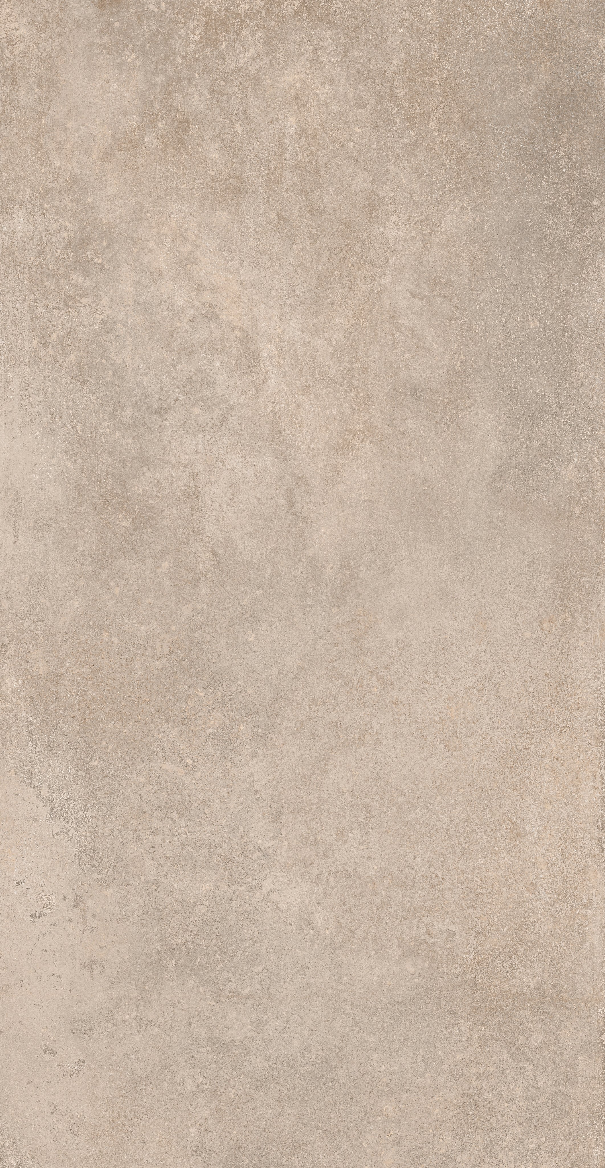 Cookie 120x240