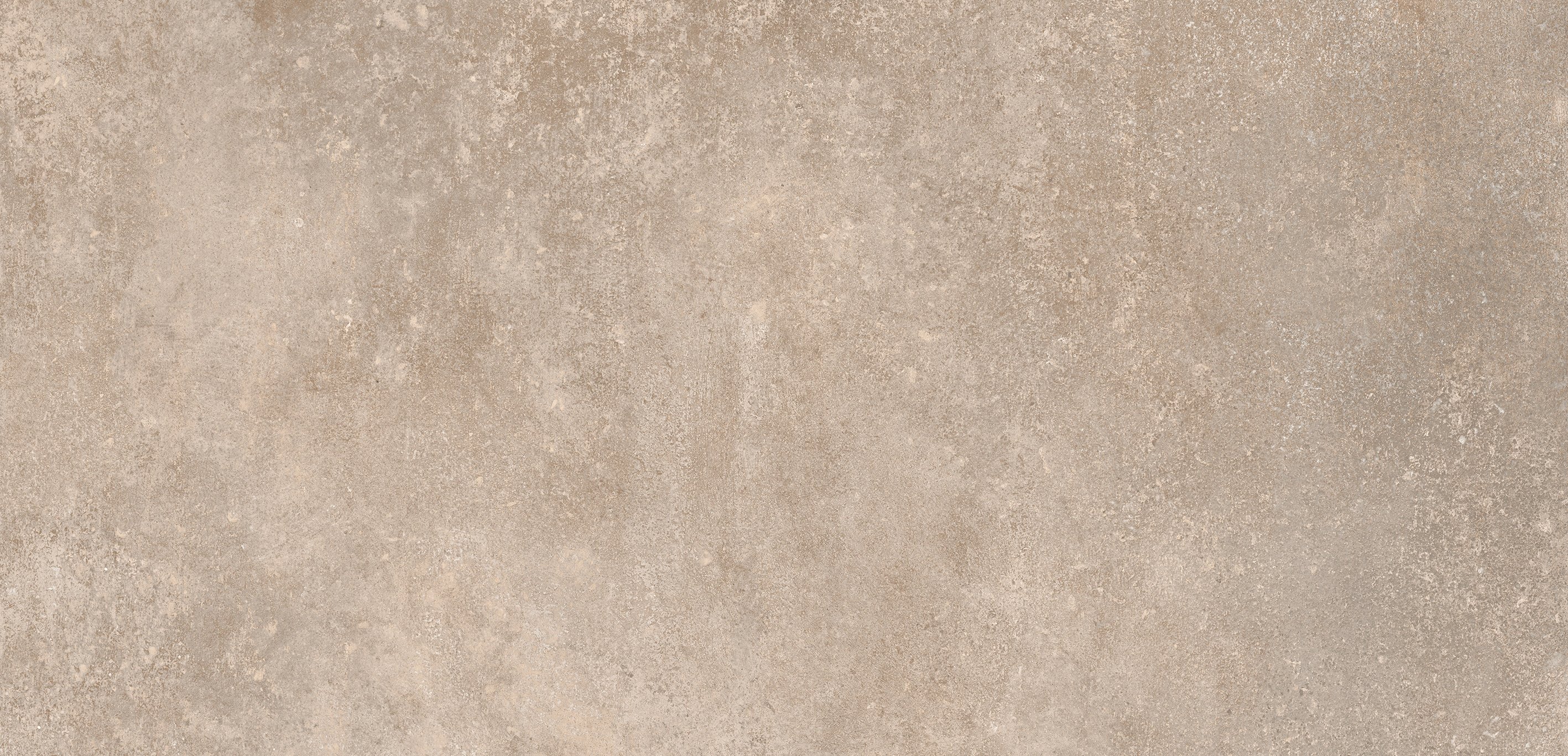 Cookie 60x120 матовая 6 мм