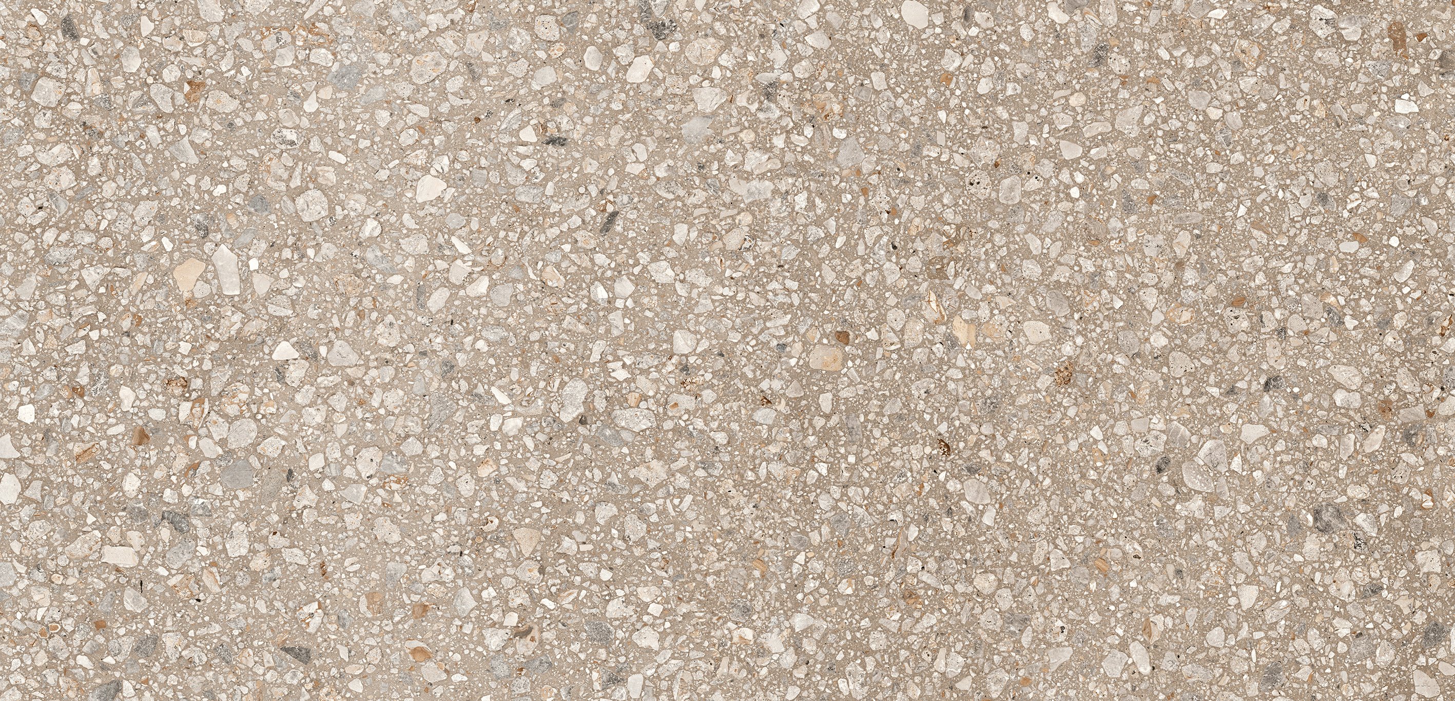 Cookie Mix 60x120 матовая 9 мм