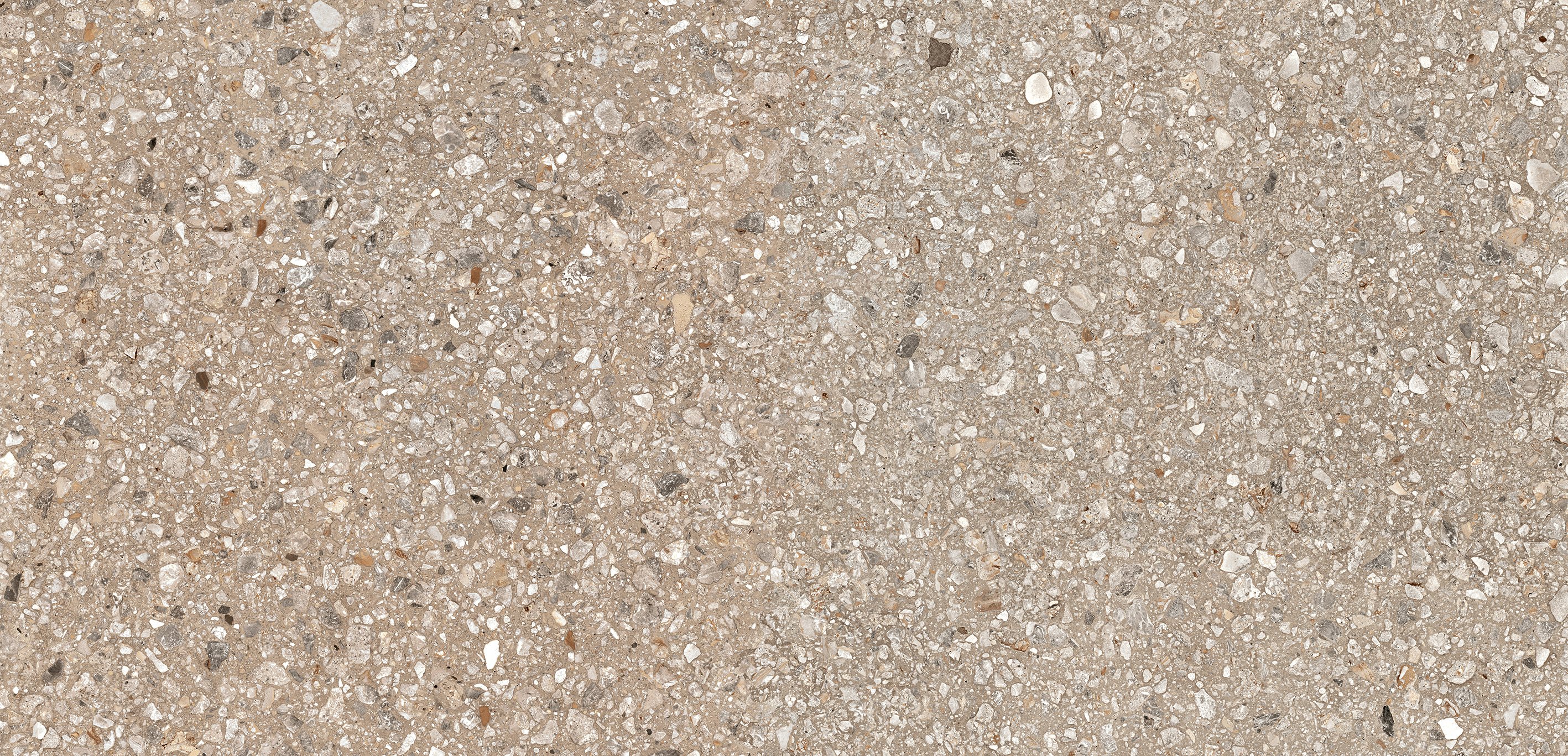 Cookie Mix 60x120 матовая 6 мм