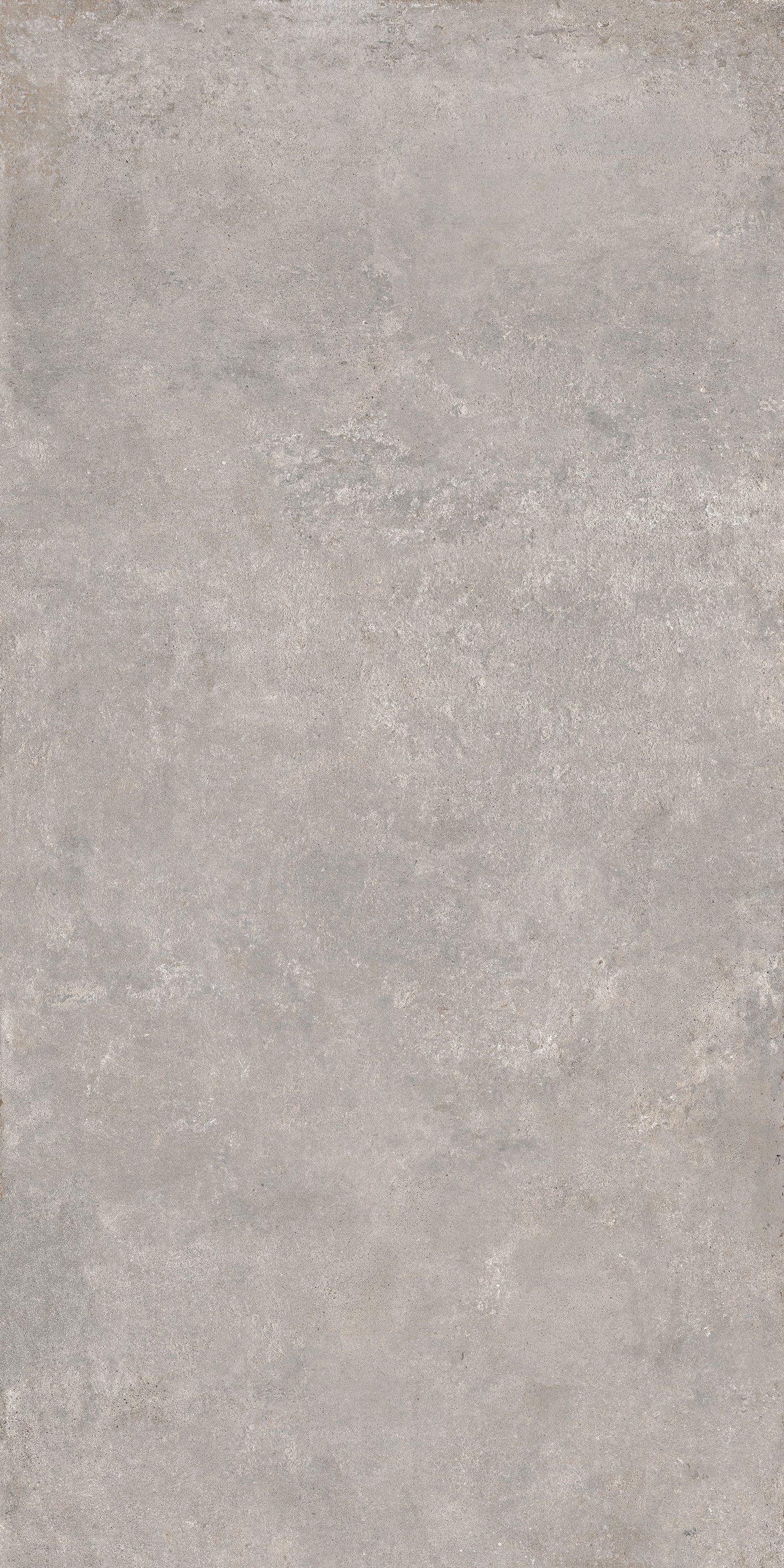 Earl Grey 120x240