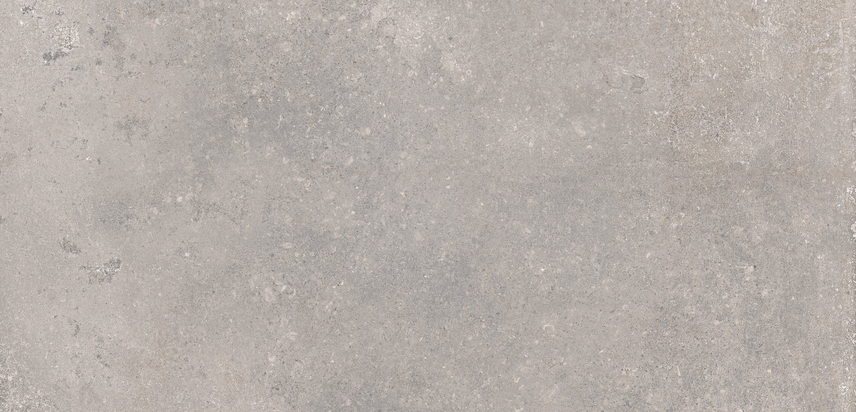 Earl Grey 60x120 матовая 6 мм