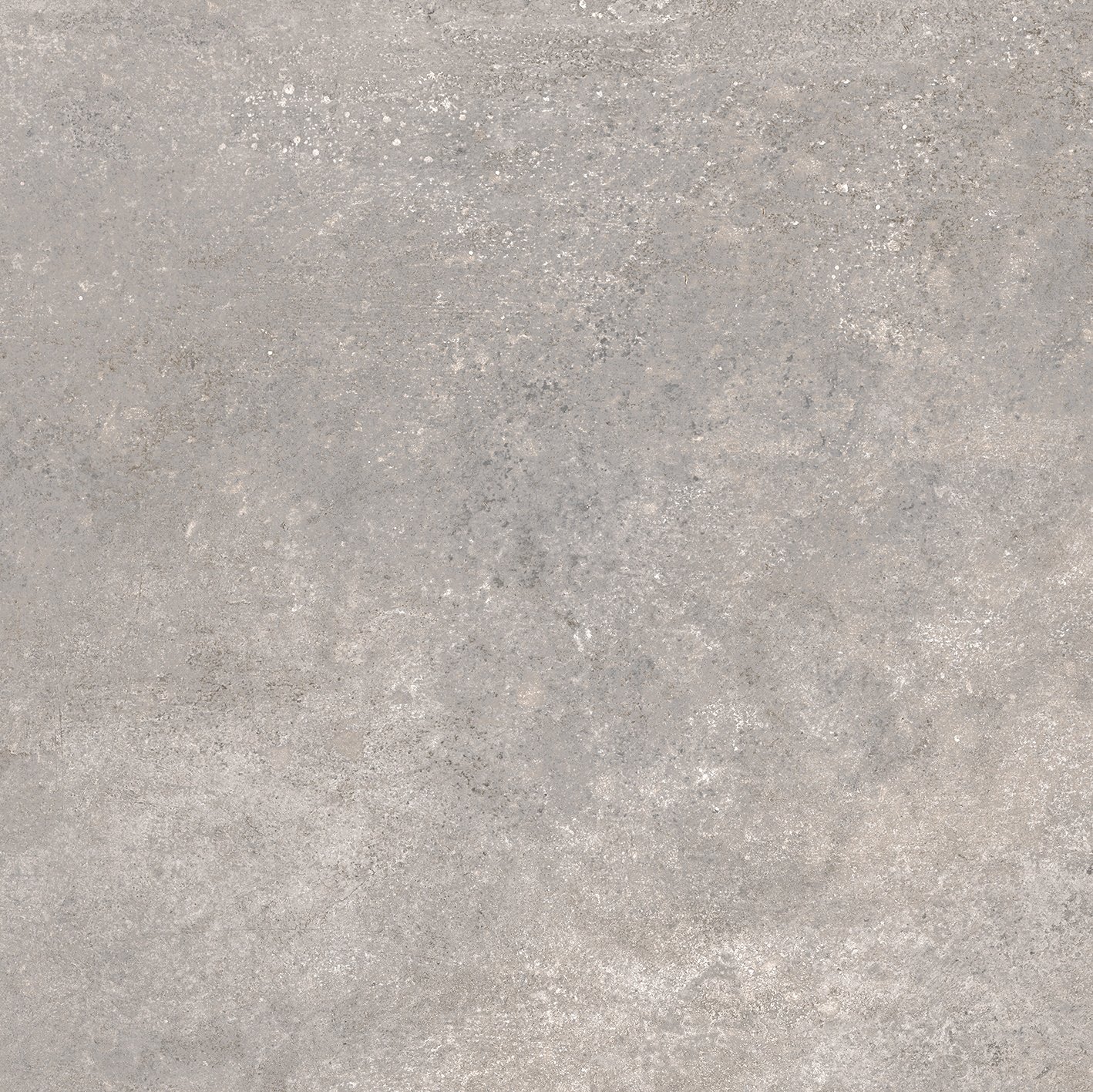 Earl Grey 60x60