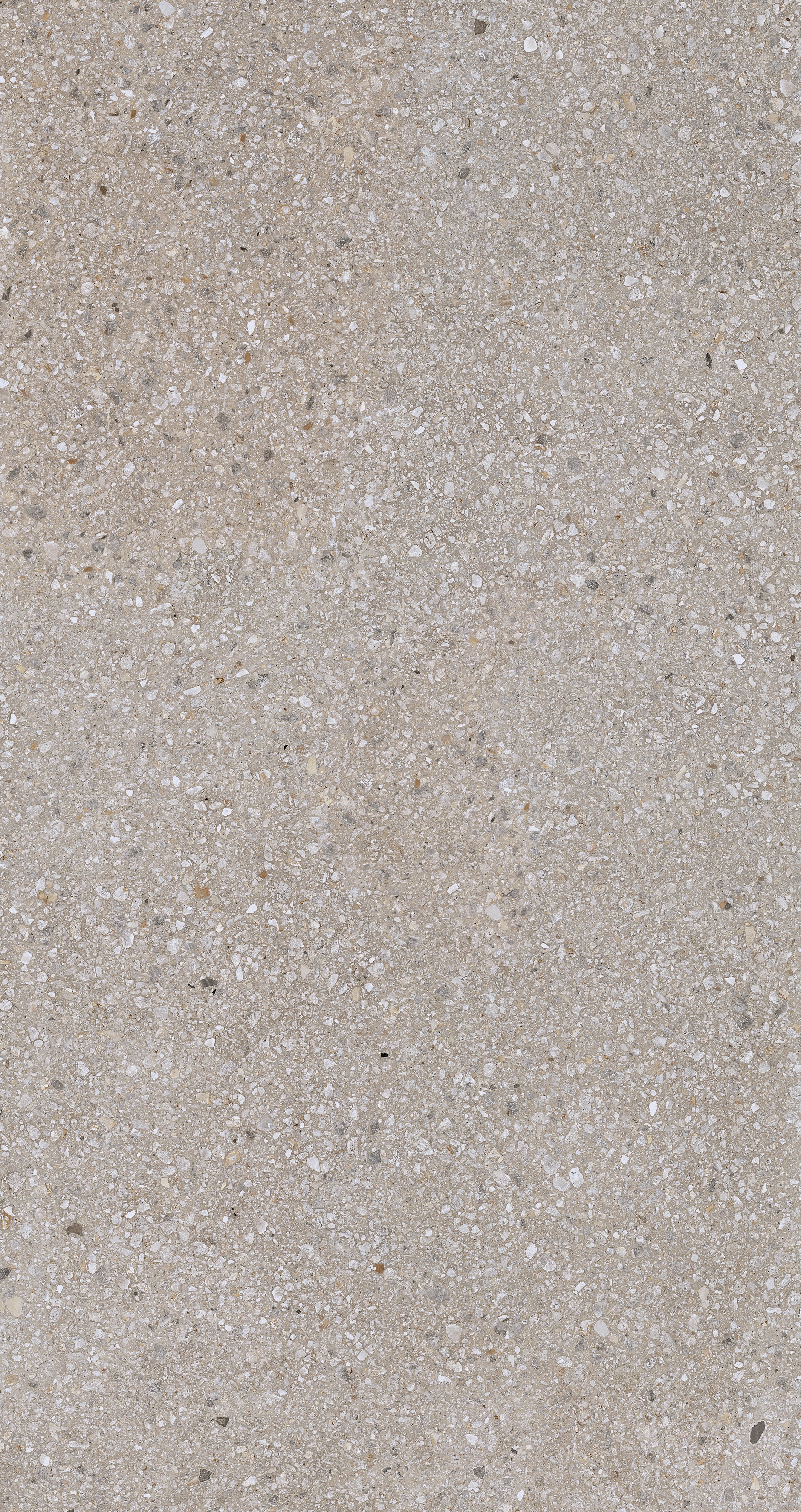 Earl Grey Mix 120x240 матовая