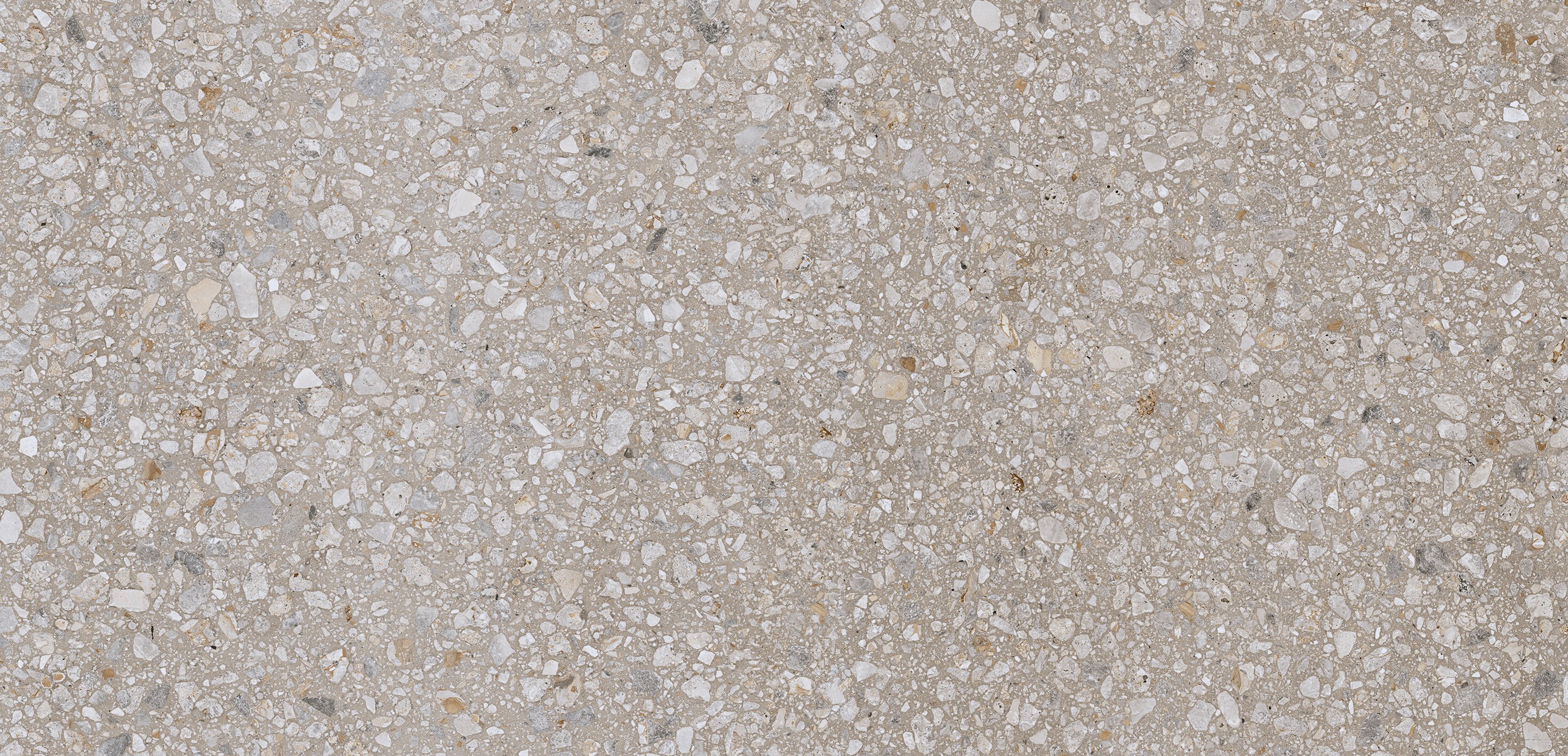 Earl Grey Mix 60x120 глянцевая 6 мм