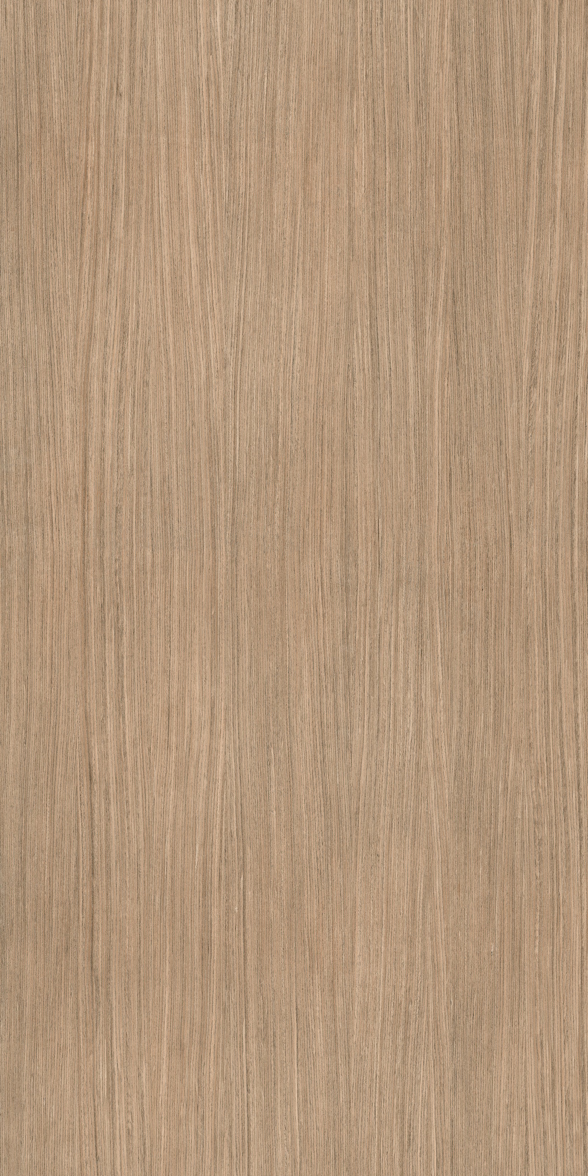 Plank 01 120x240