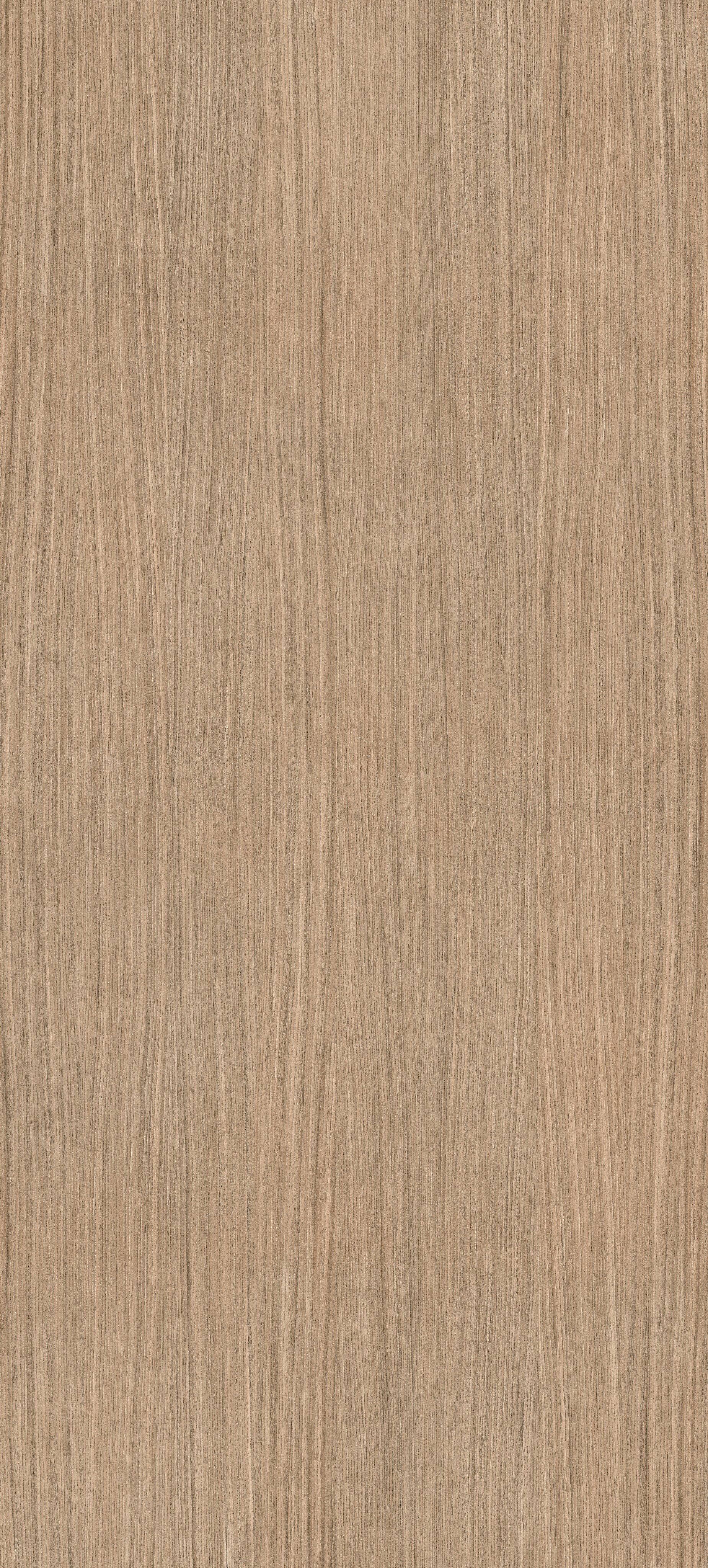 Plank 01 120x280