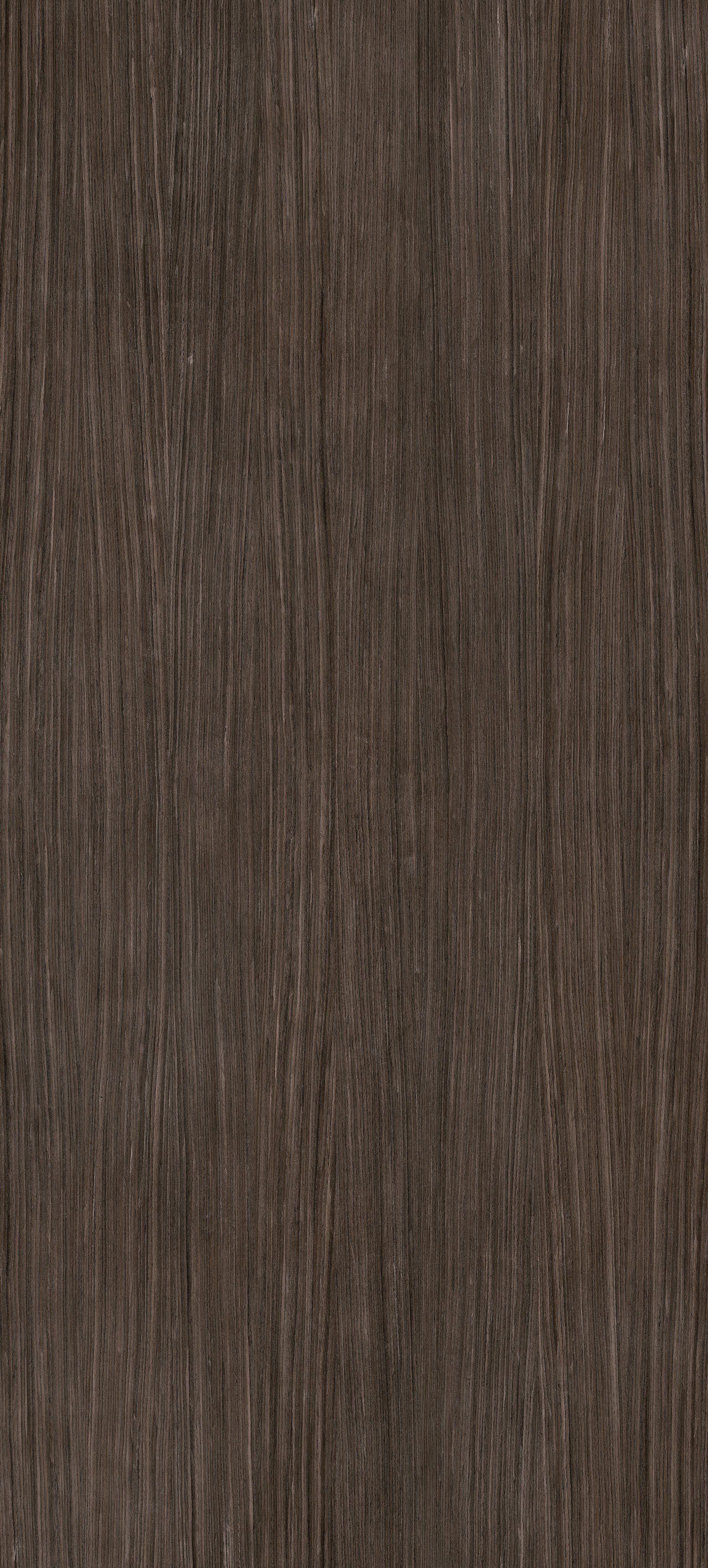 Plank 03 120x280
