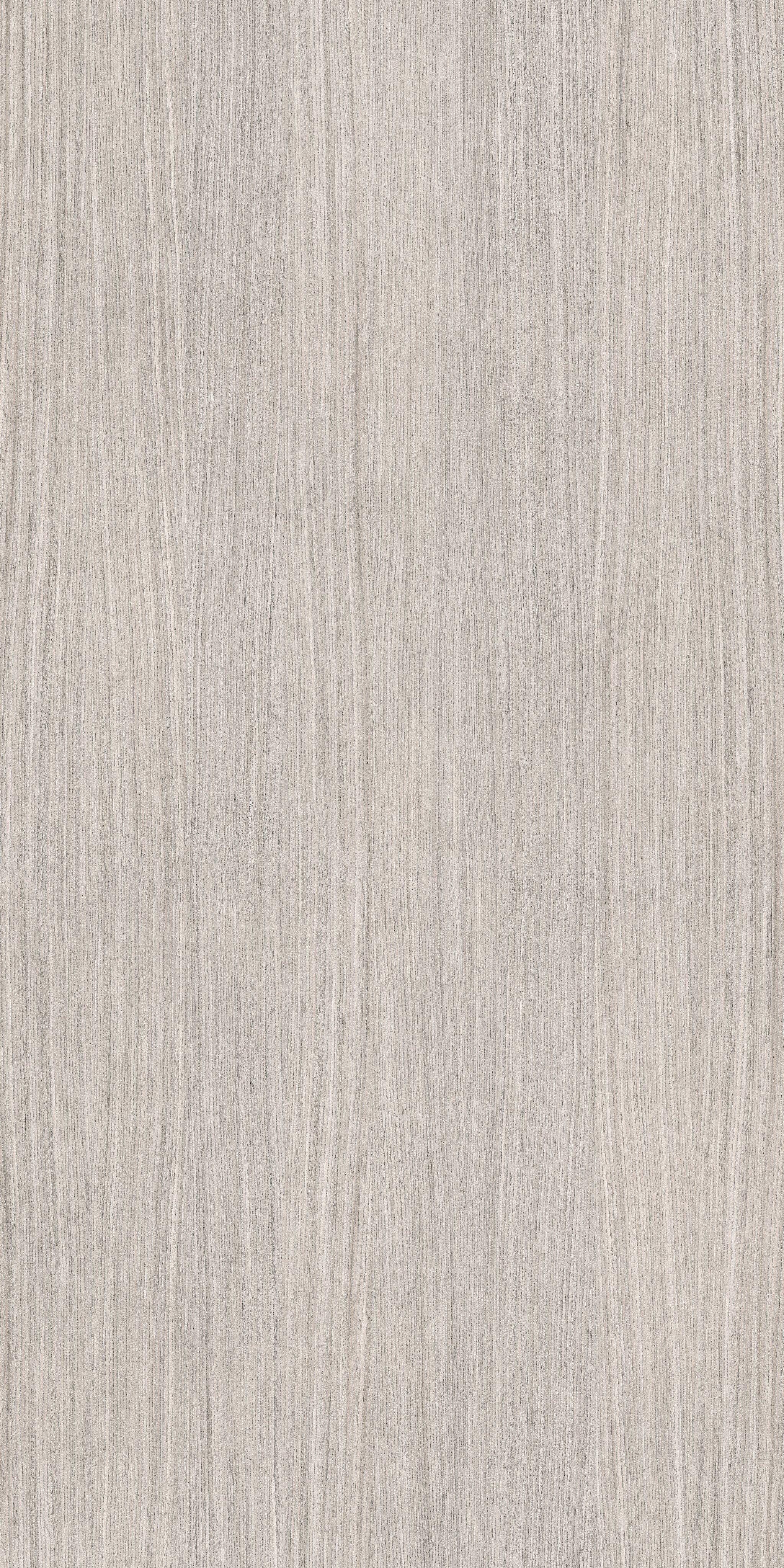 Plank 04 120x240