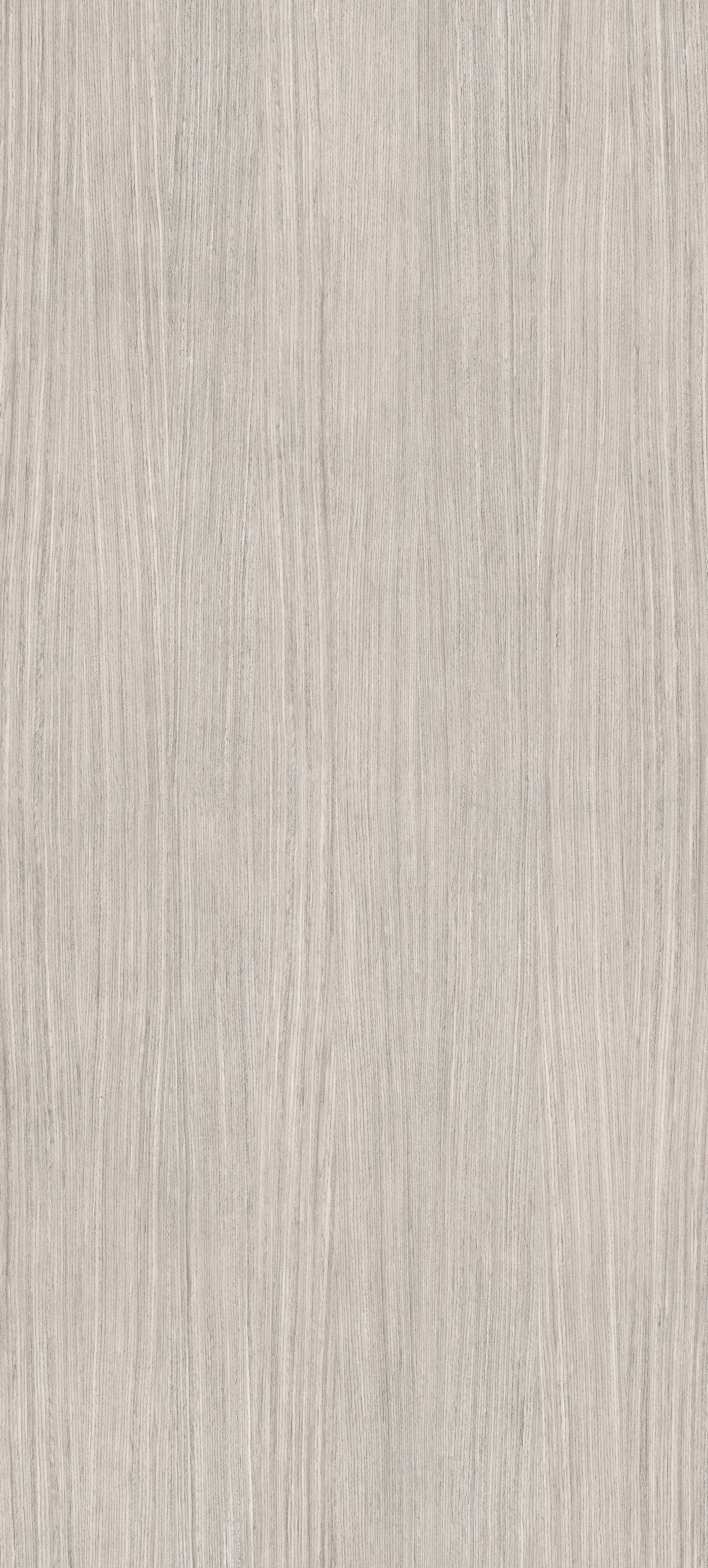 Plank 04 120x280