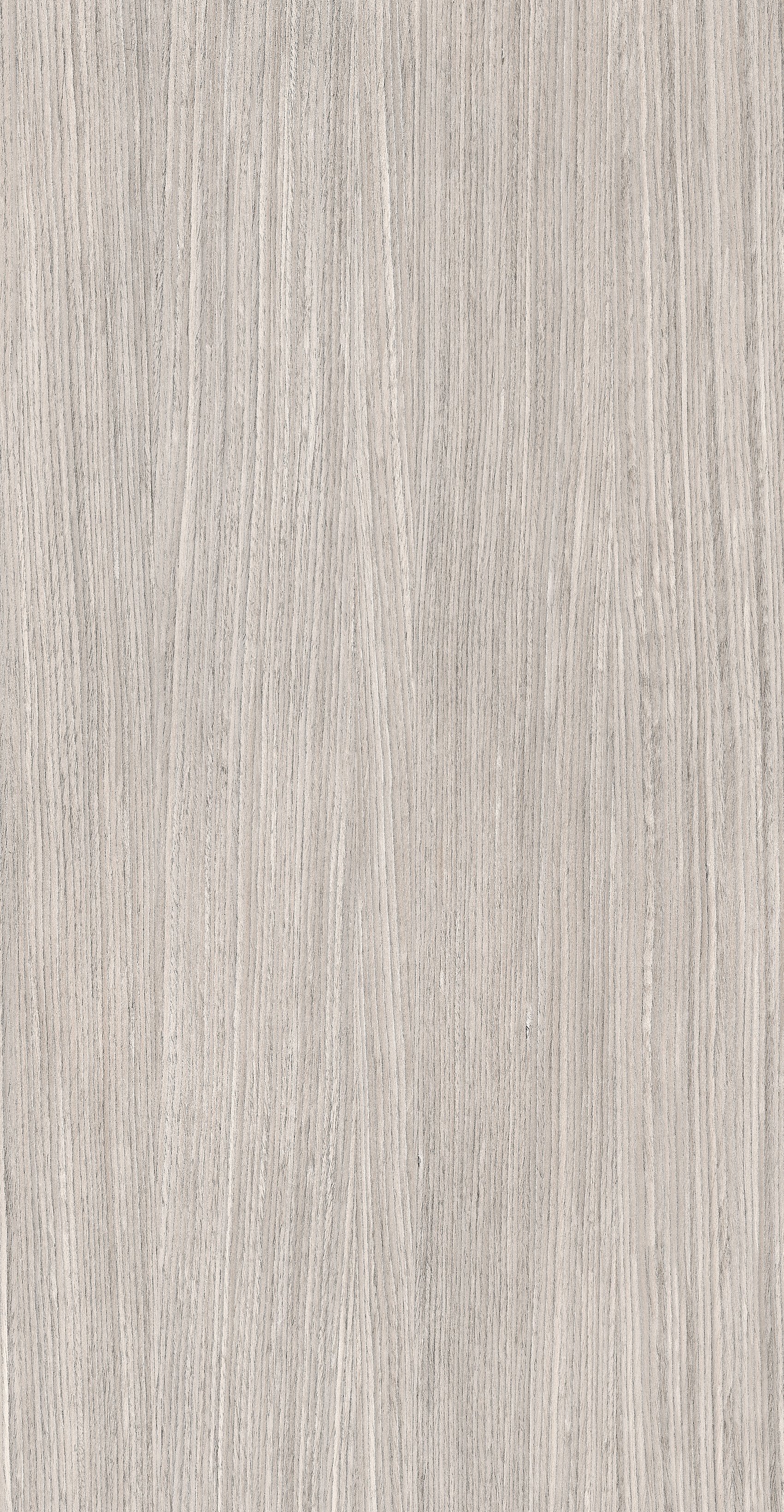 Plank 04 60x120