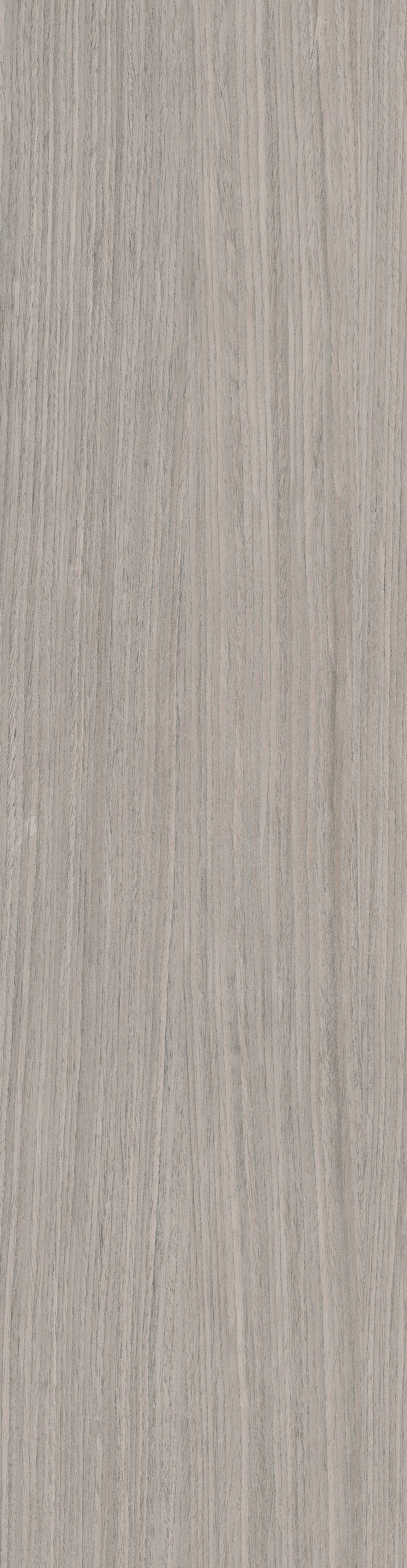 Plank 05 30x120