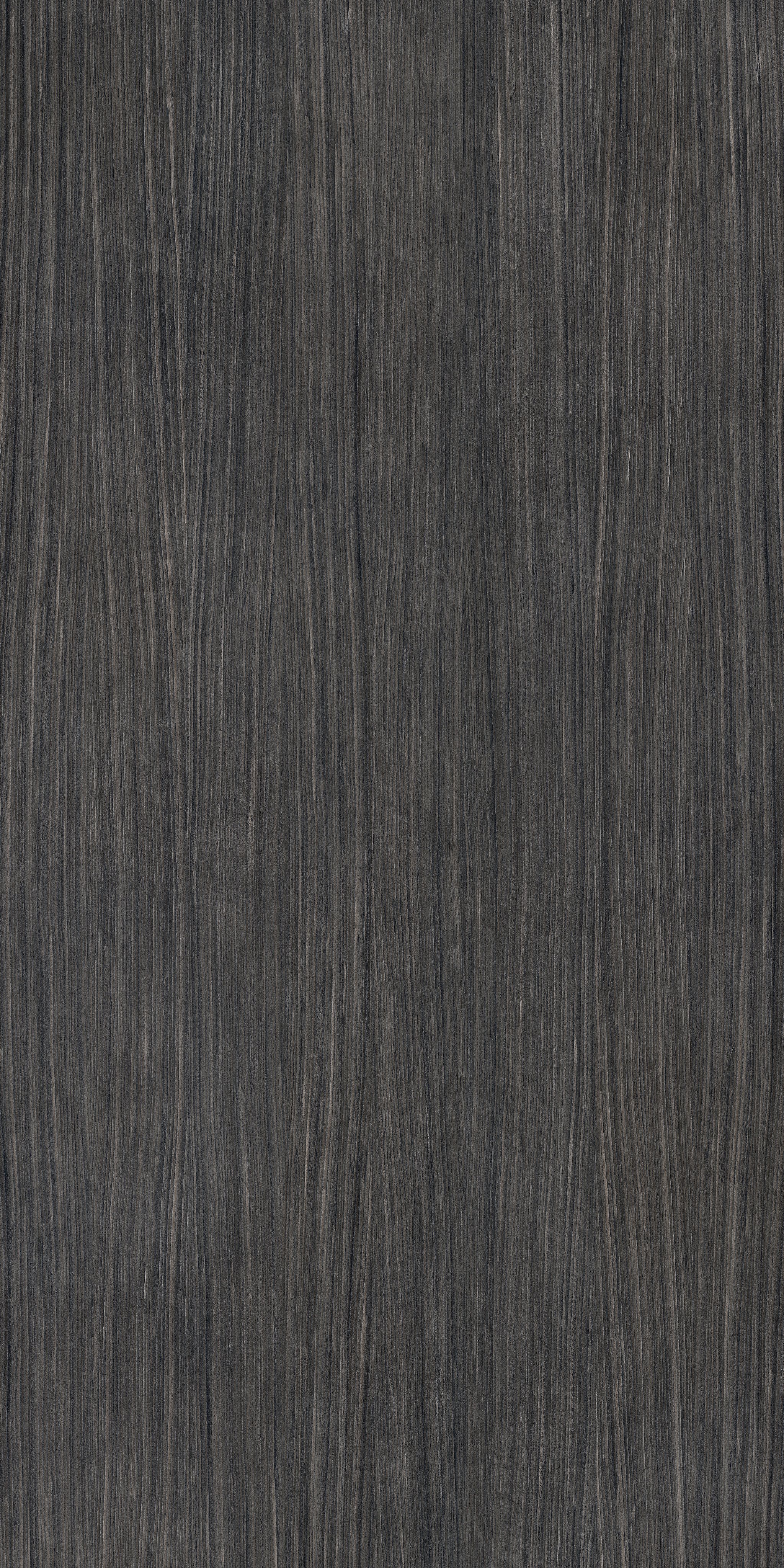 Plank 06 120x240
