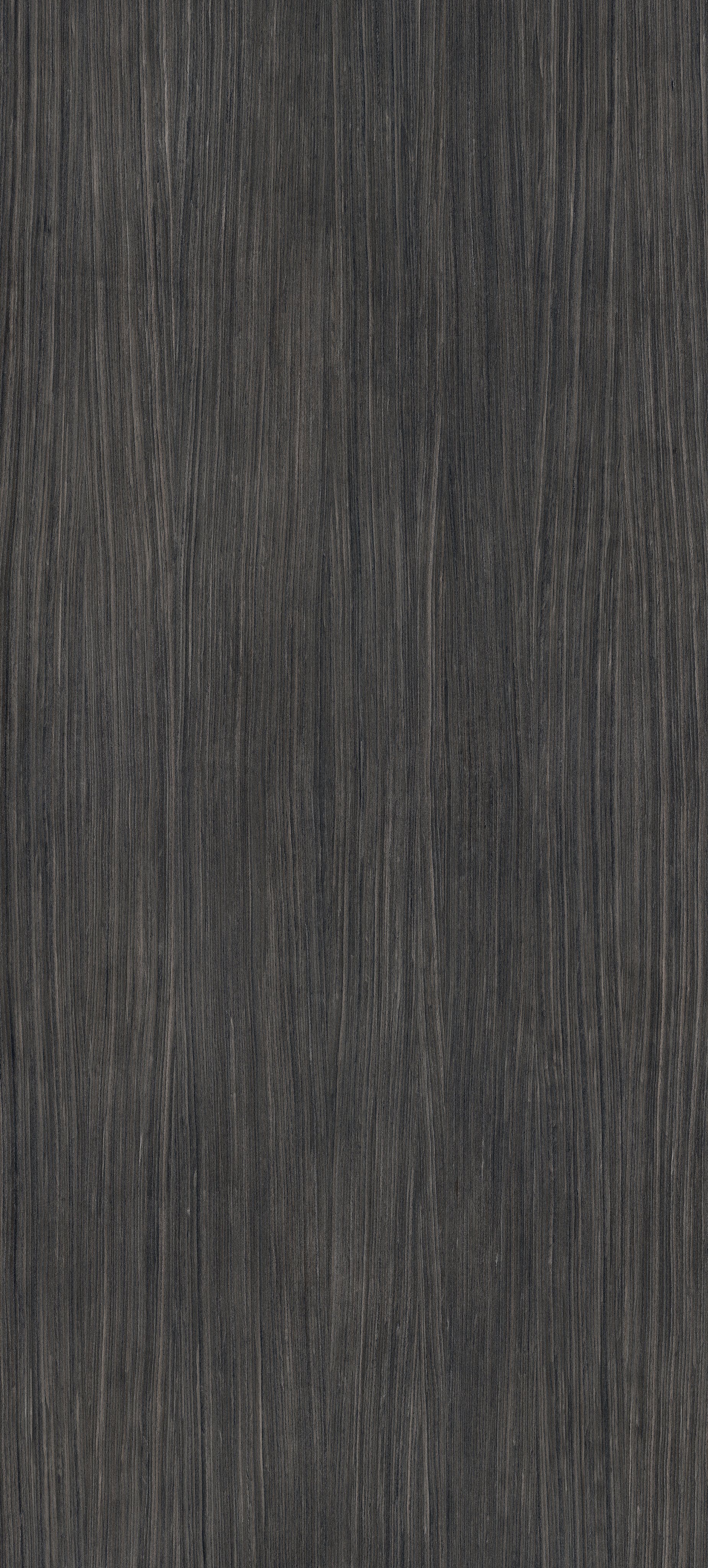 Plank 06 120x280