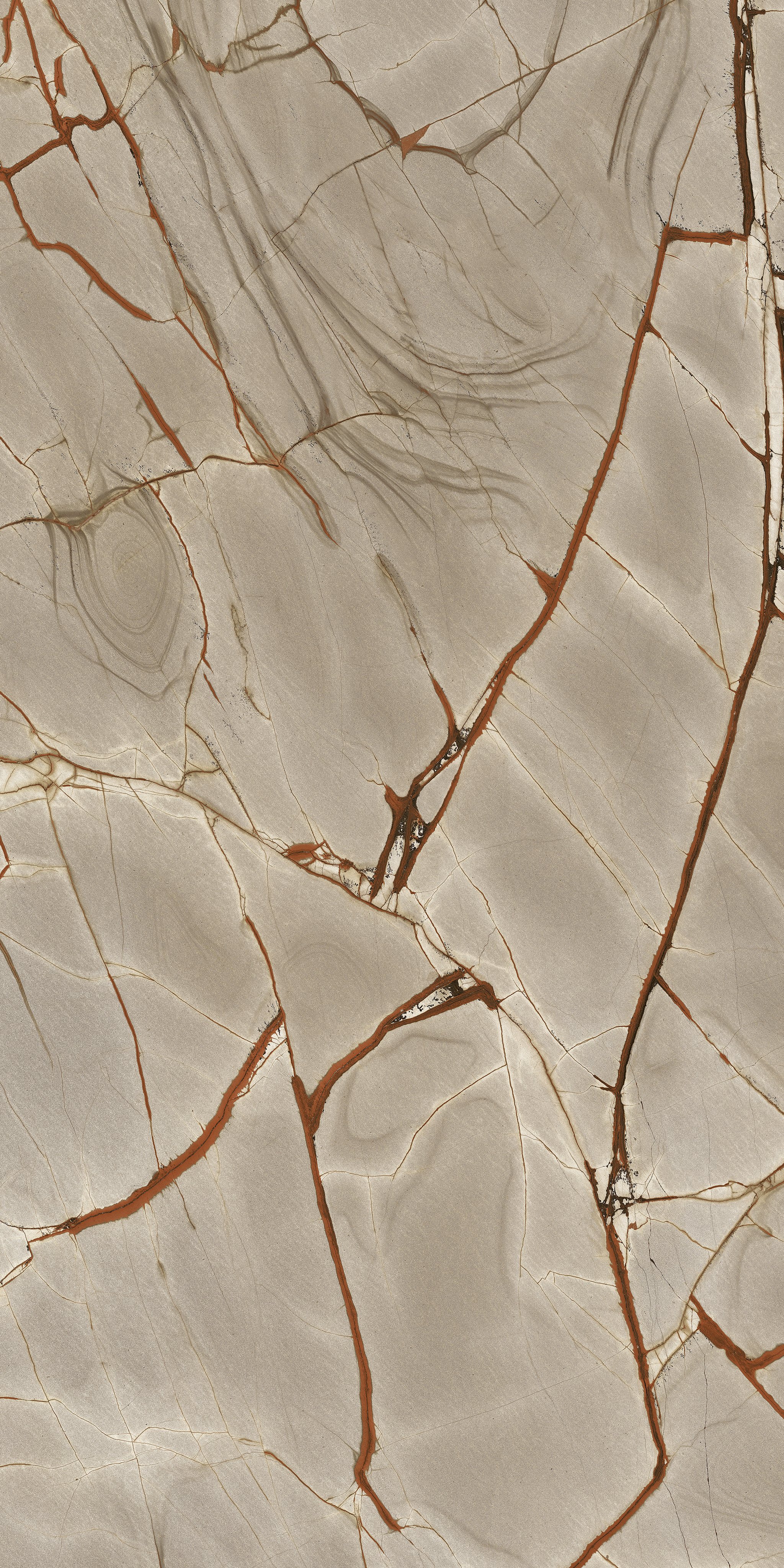 Rainforest 120x240