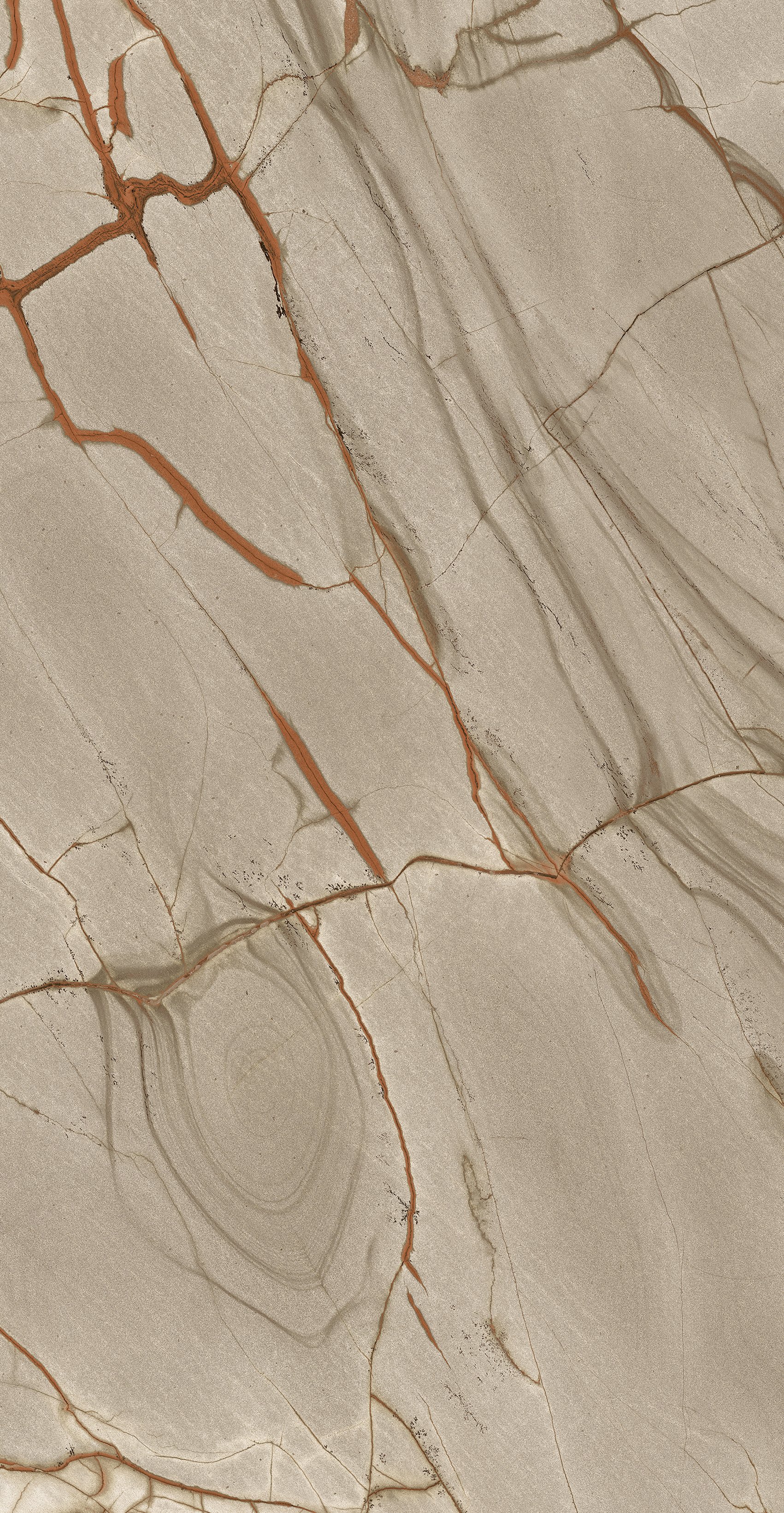 Rainforest 60x120 глянцевая 9 мм Glossy