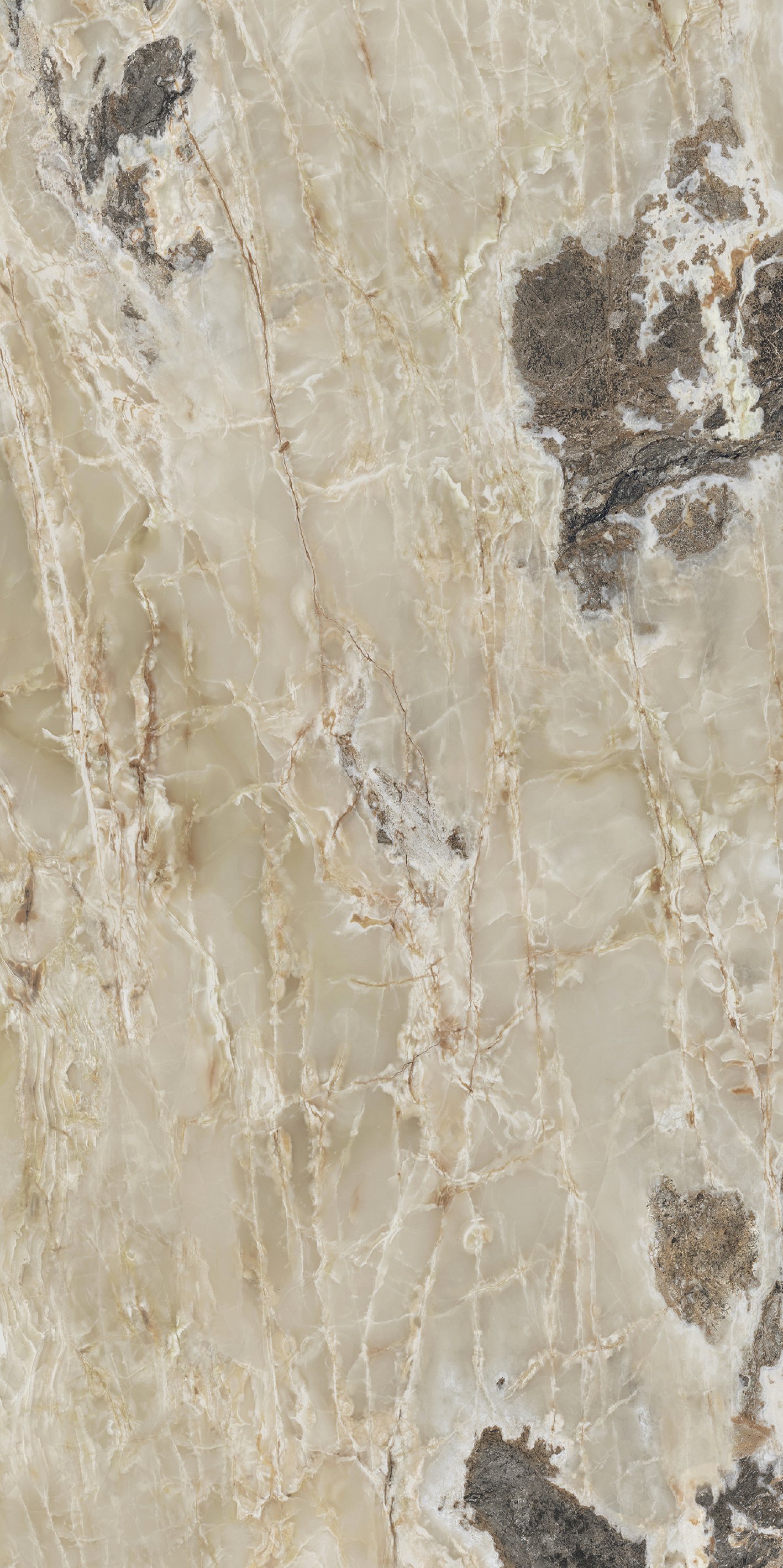 Golden Blend 120x240