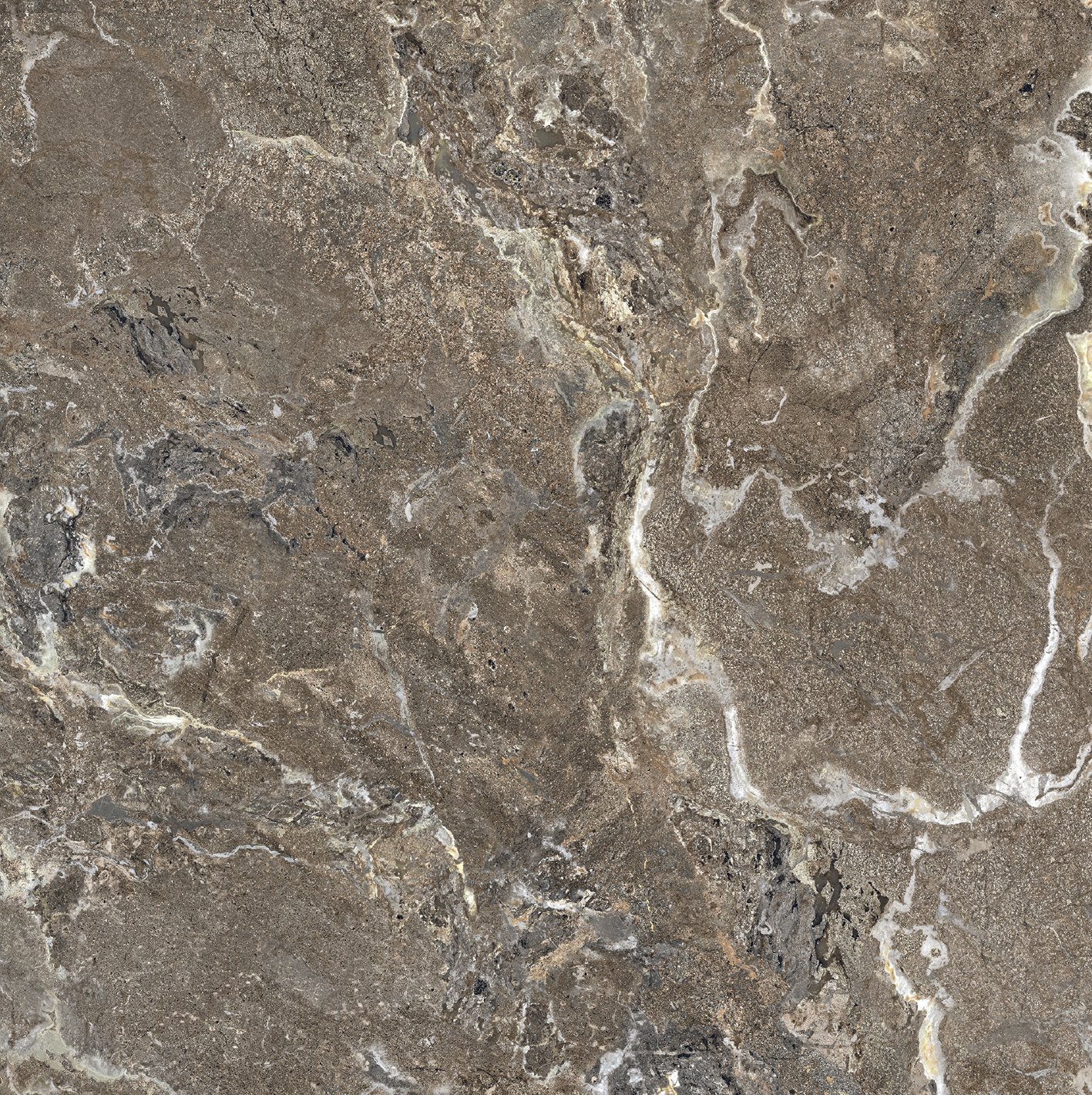 Golden Porphyry 120x120