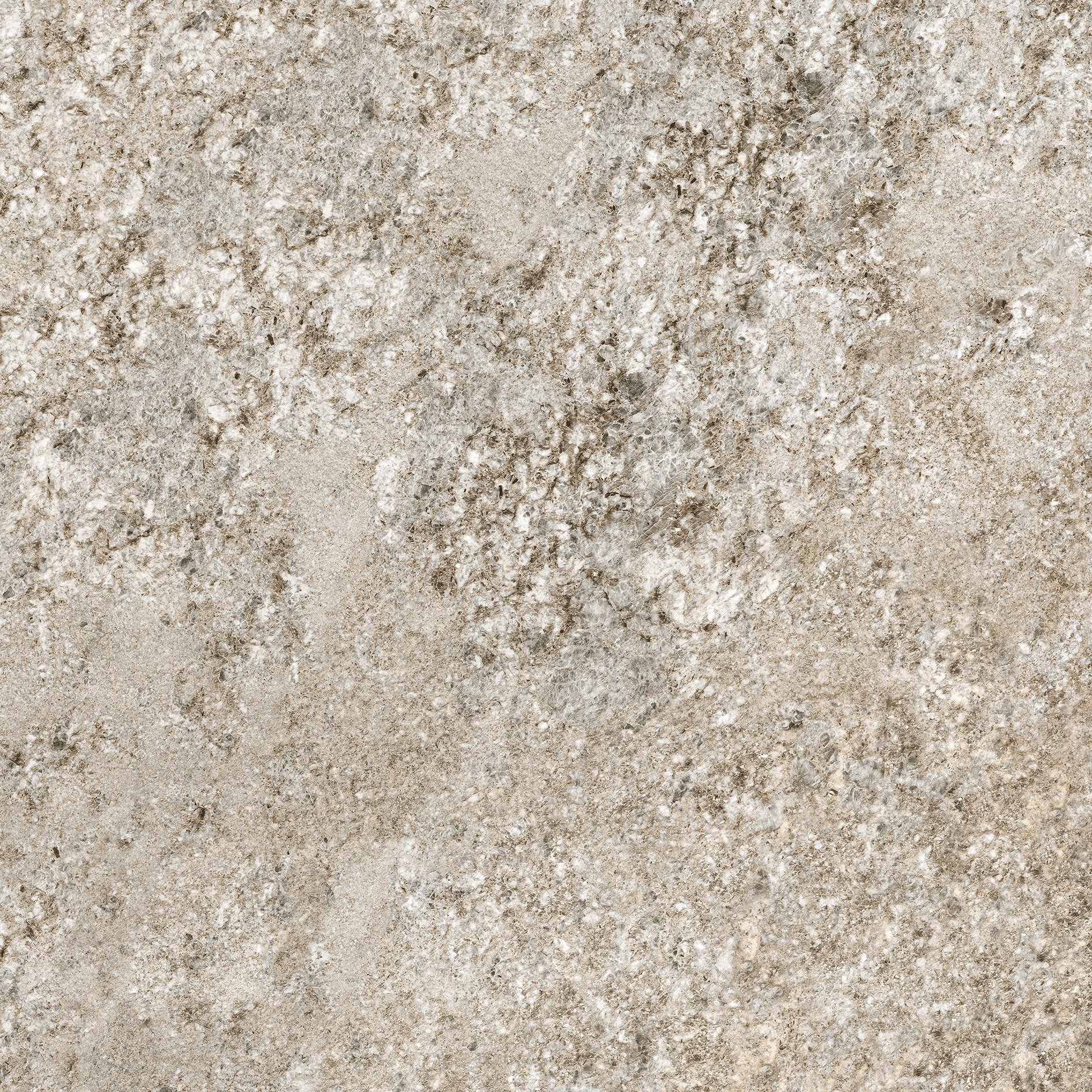 Plimabeige/02 120x120