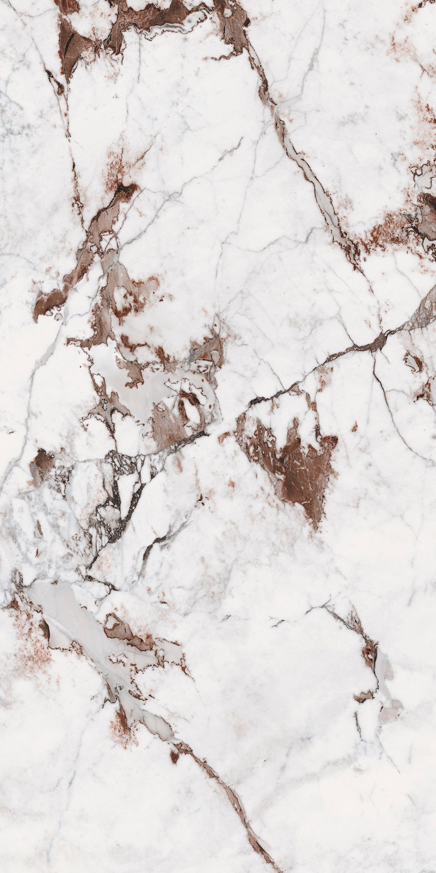 Breccia 120x240 глянцевая
