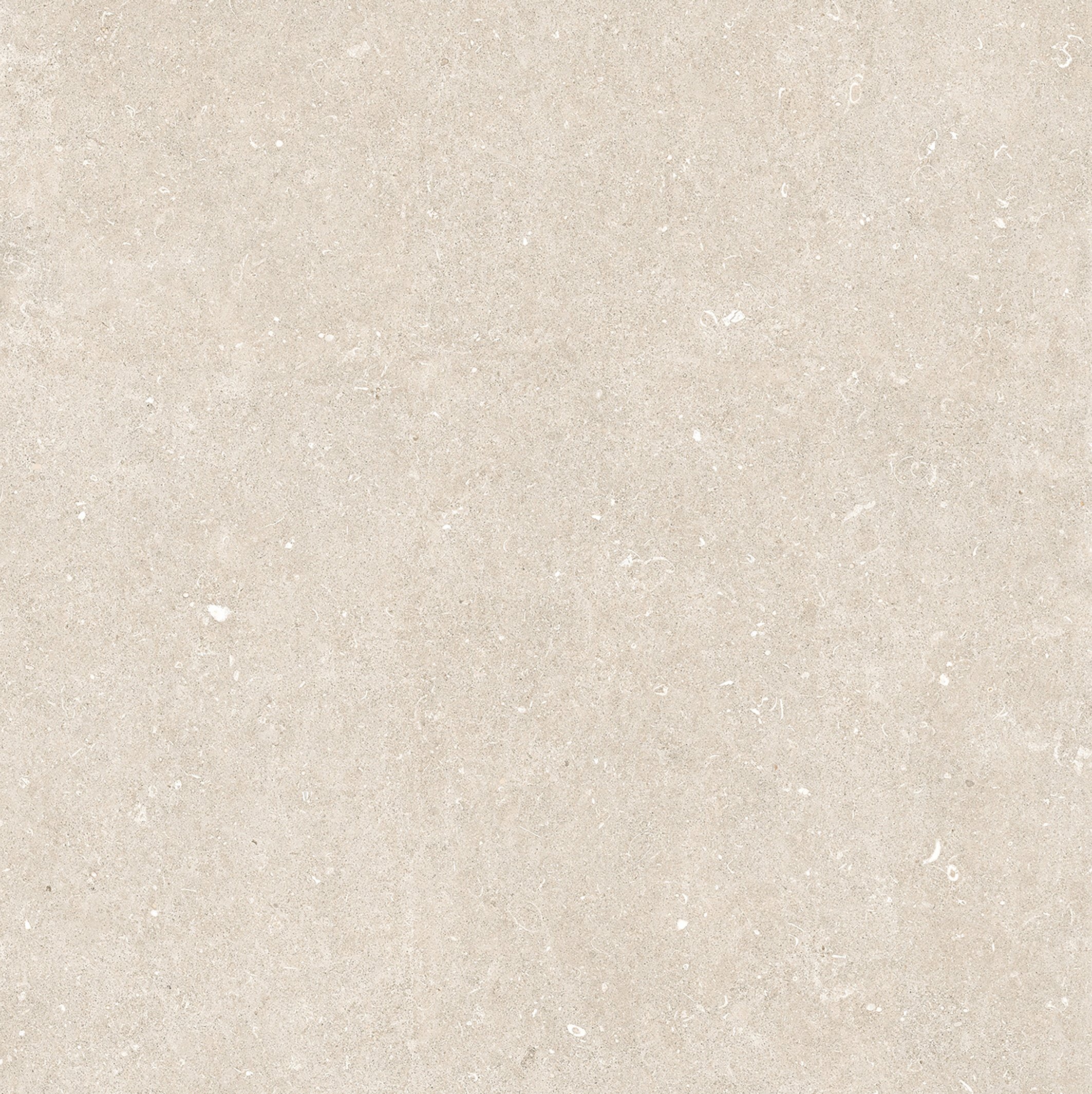 Arena Bianco Antico 120x120 матовая