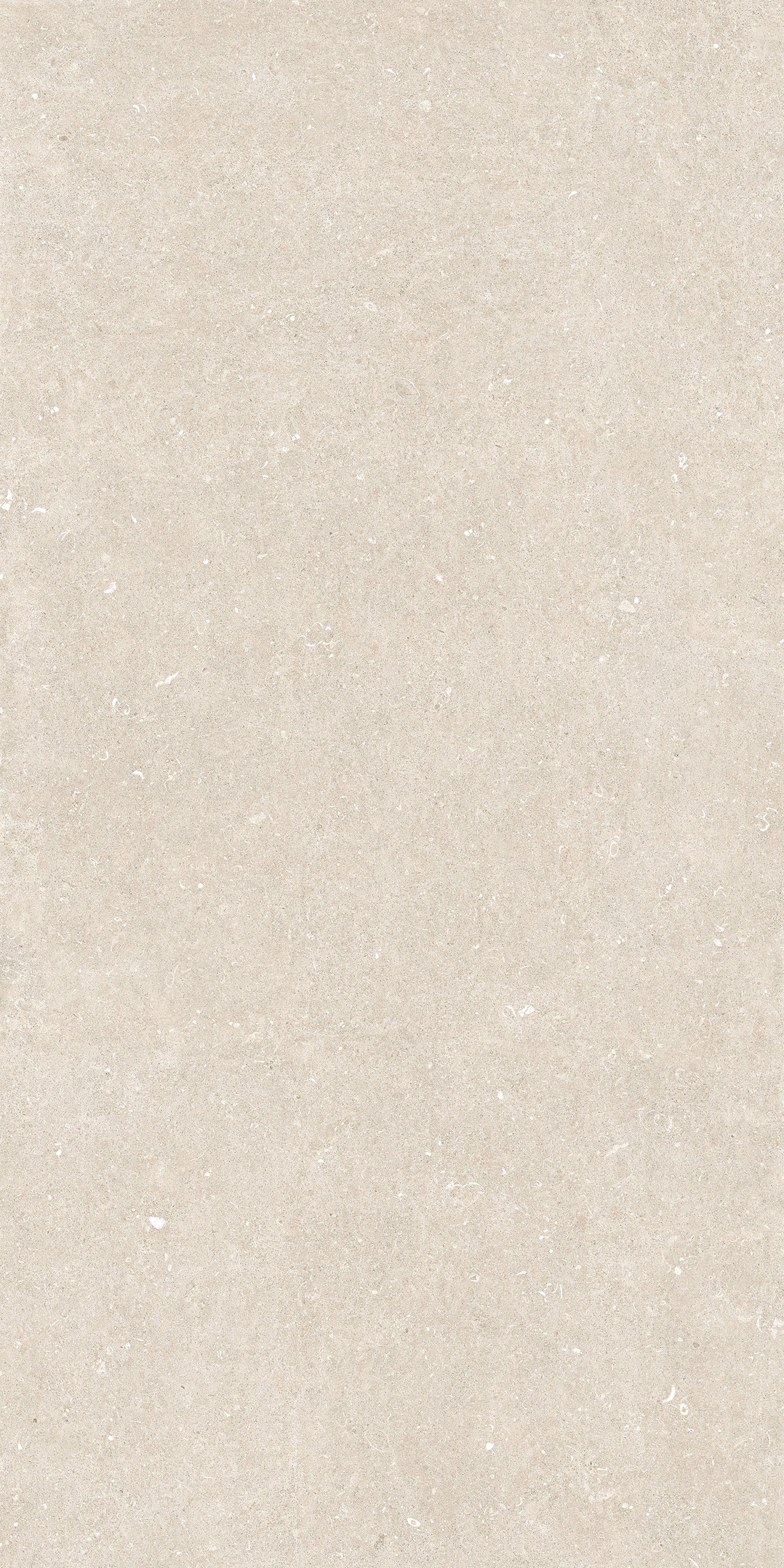 Arena Bianco Antico 120x240