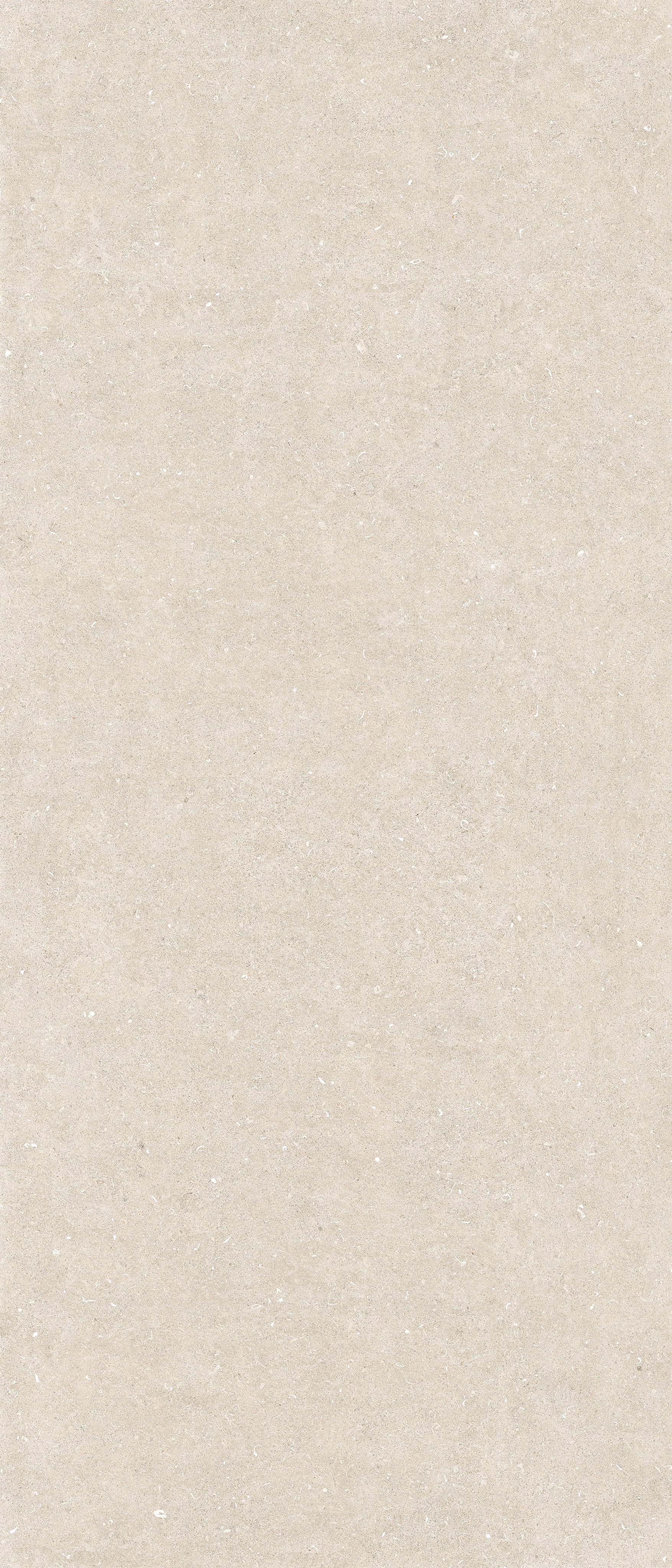 Arena Bianco Antico 120x280