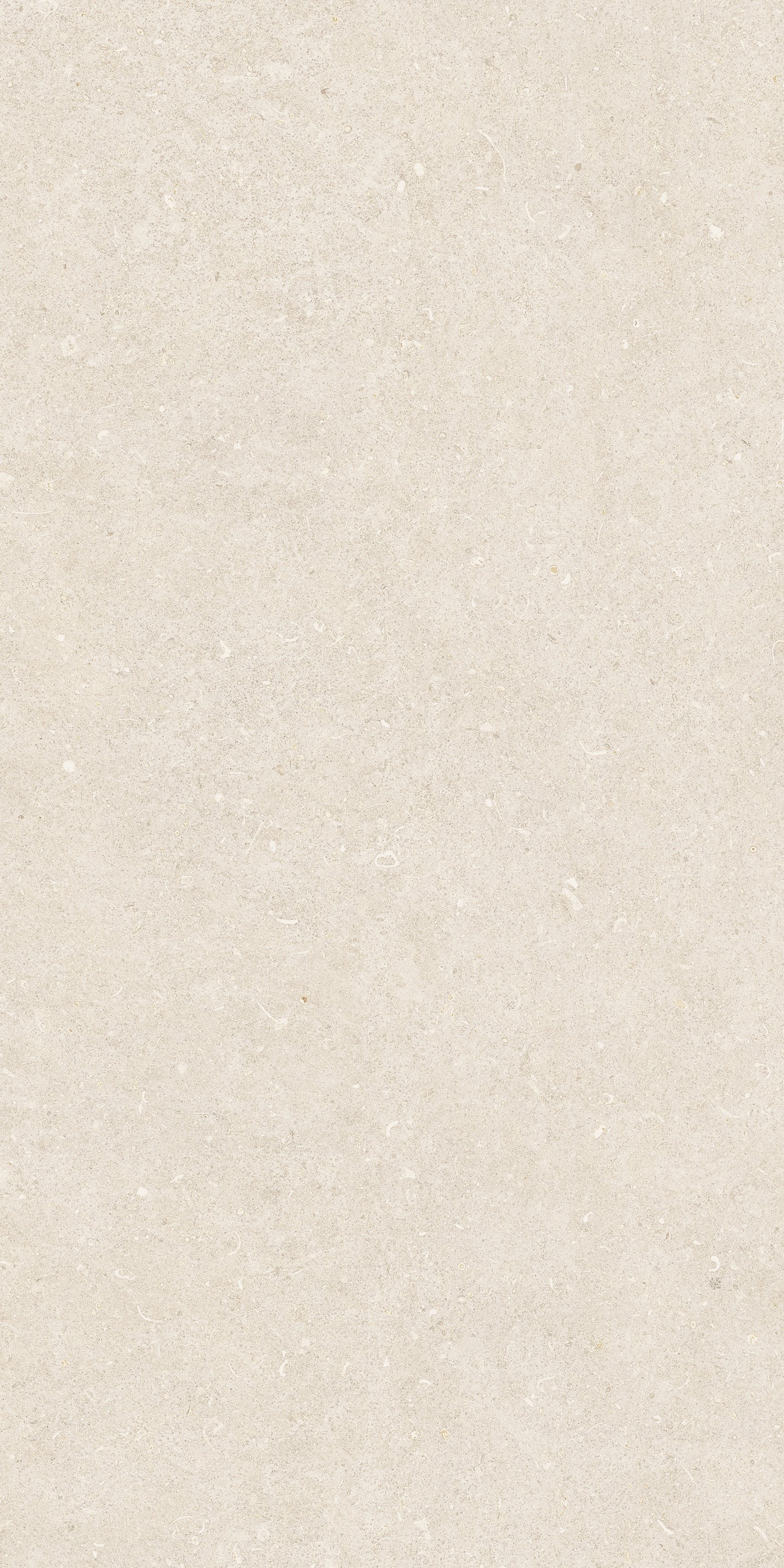 Arena Bianco Antico 60x120 структурная 9 мм