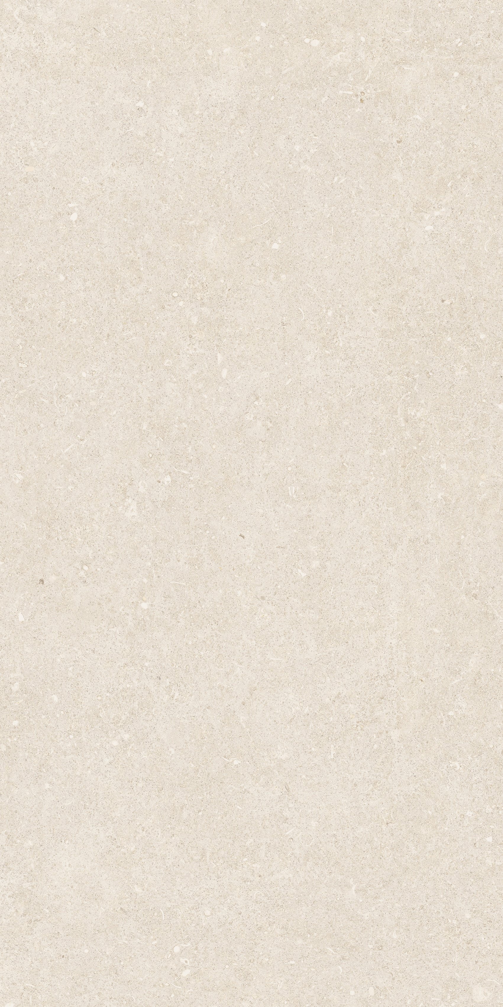 Arena Bianco Antico 60x120 структурная 20 мм
