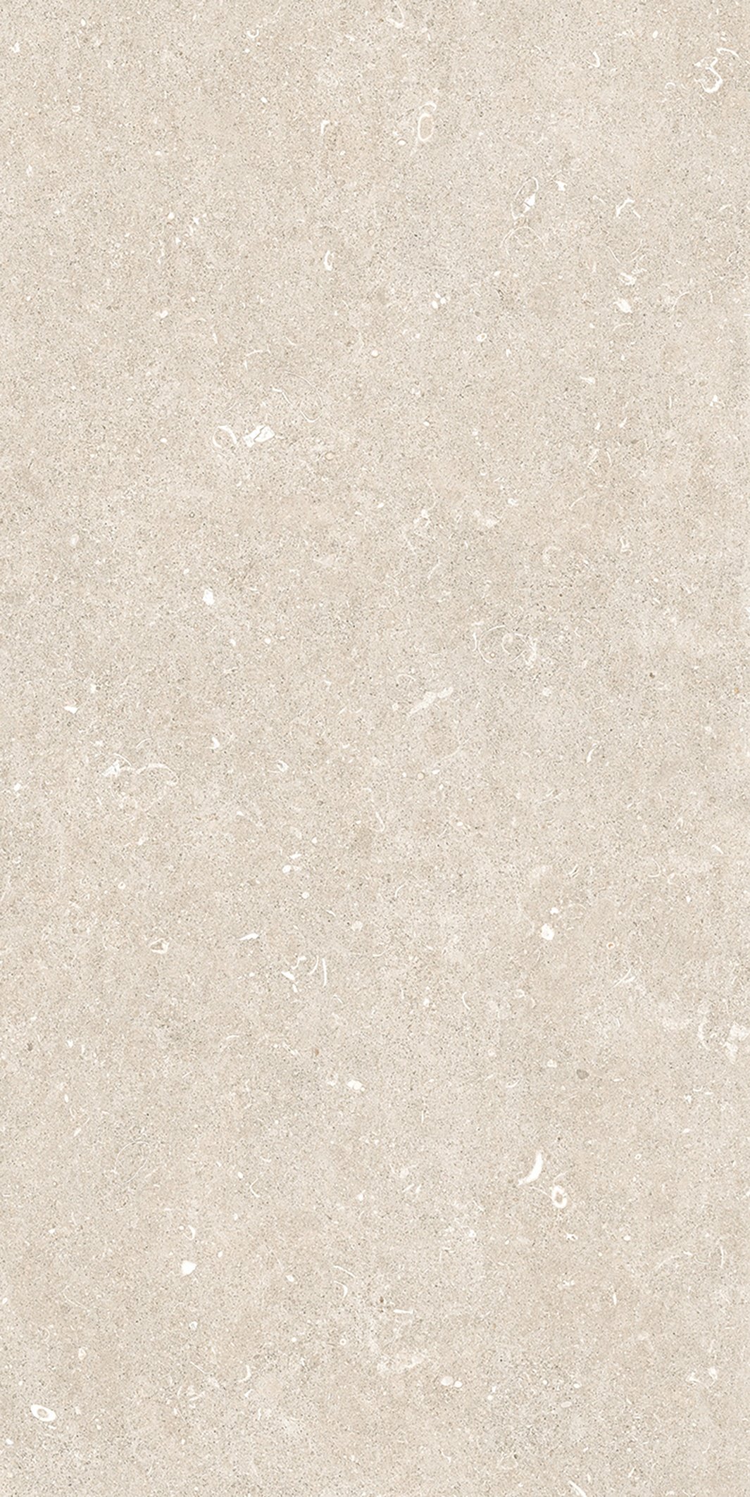 Arena Bianco Antico 60x120 матовая 6 мм