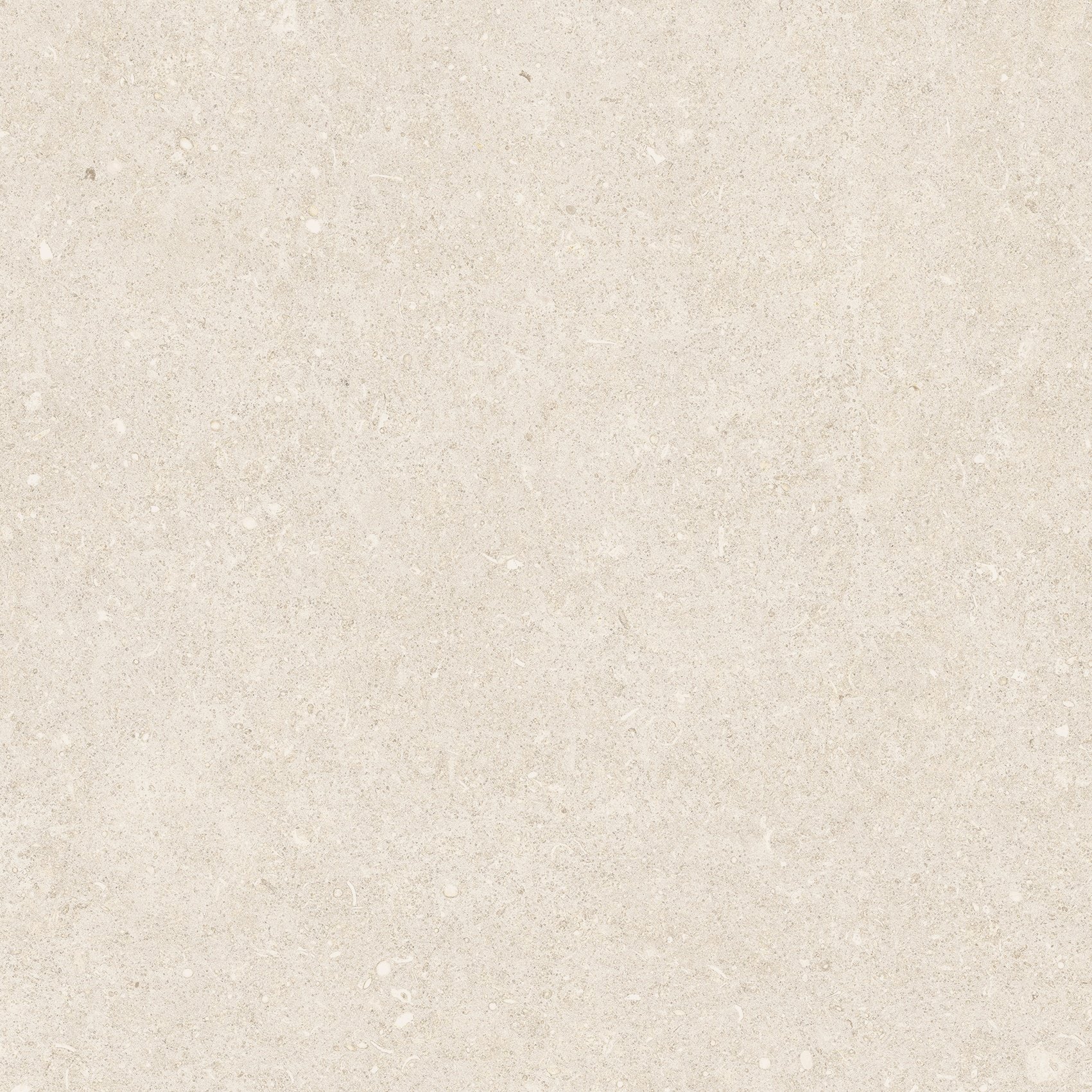 Arena Bianco Antico 60x60 матовая