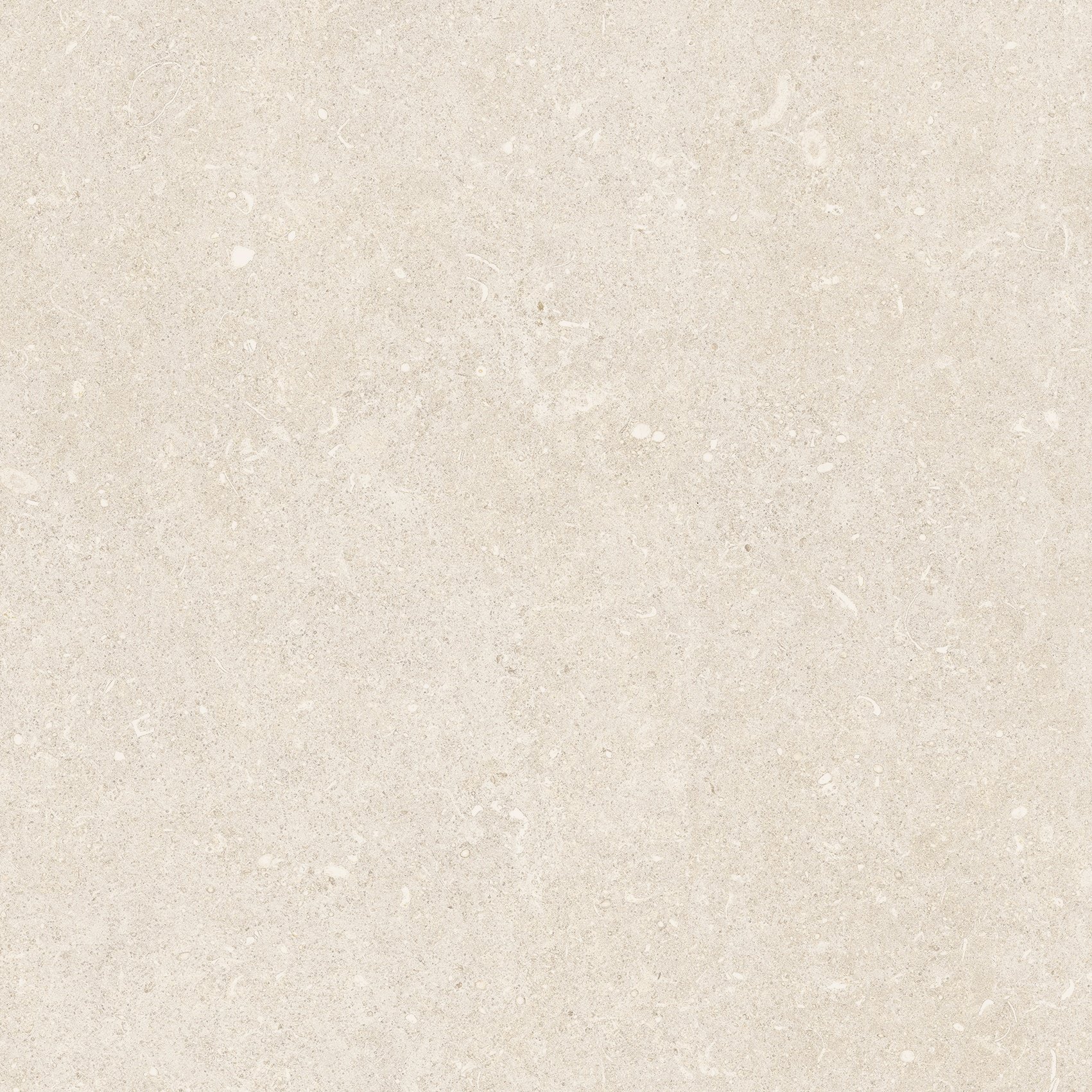 Arena Bianco Antico 60x60 структурная