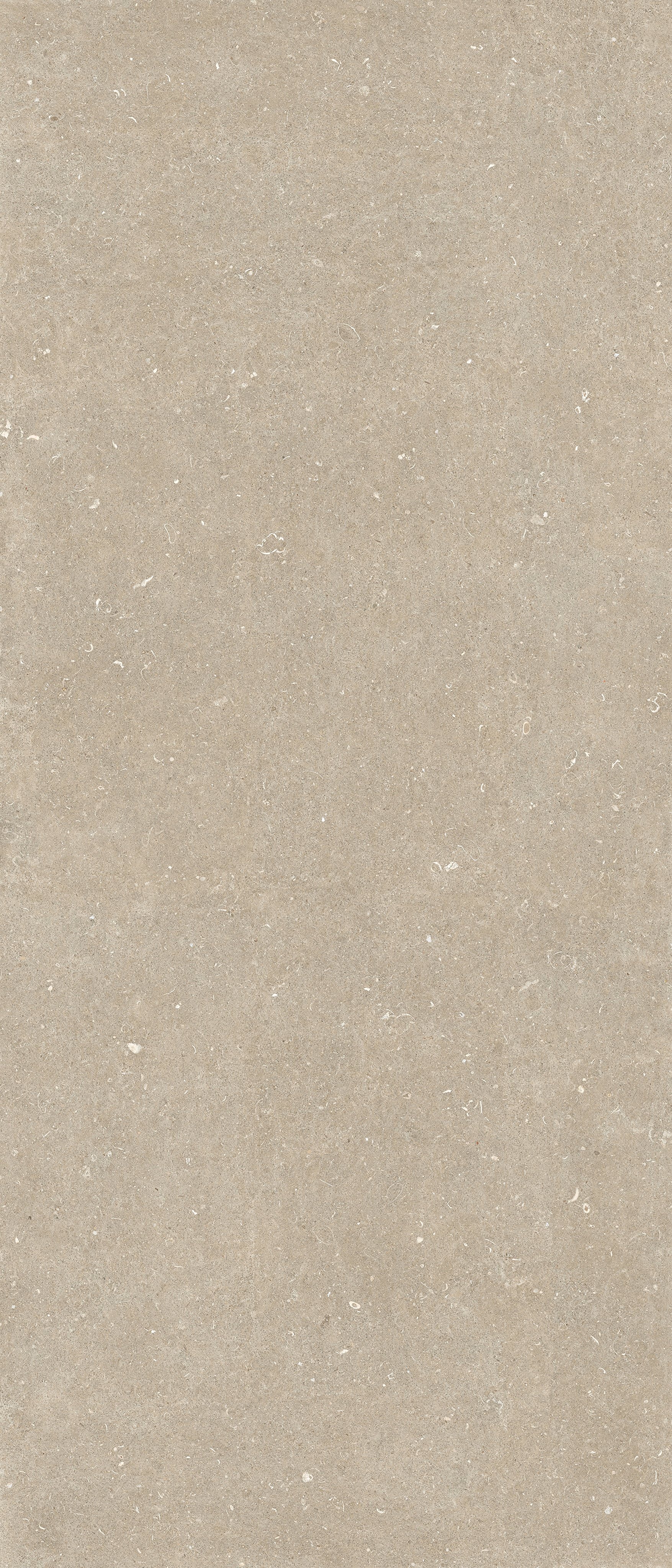 Arena Conchiglia 120x120 структурная