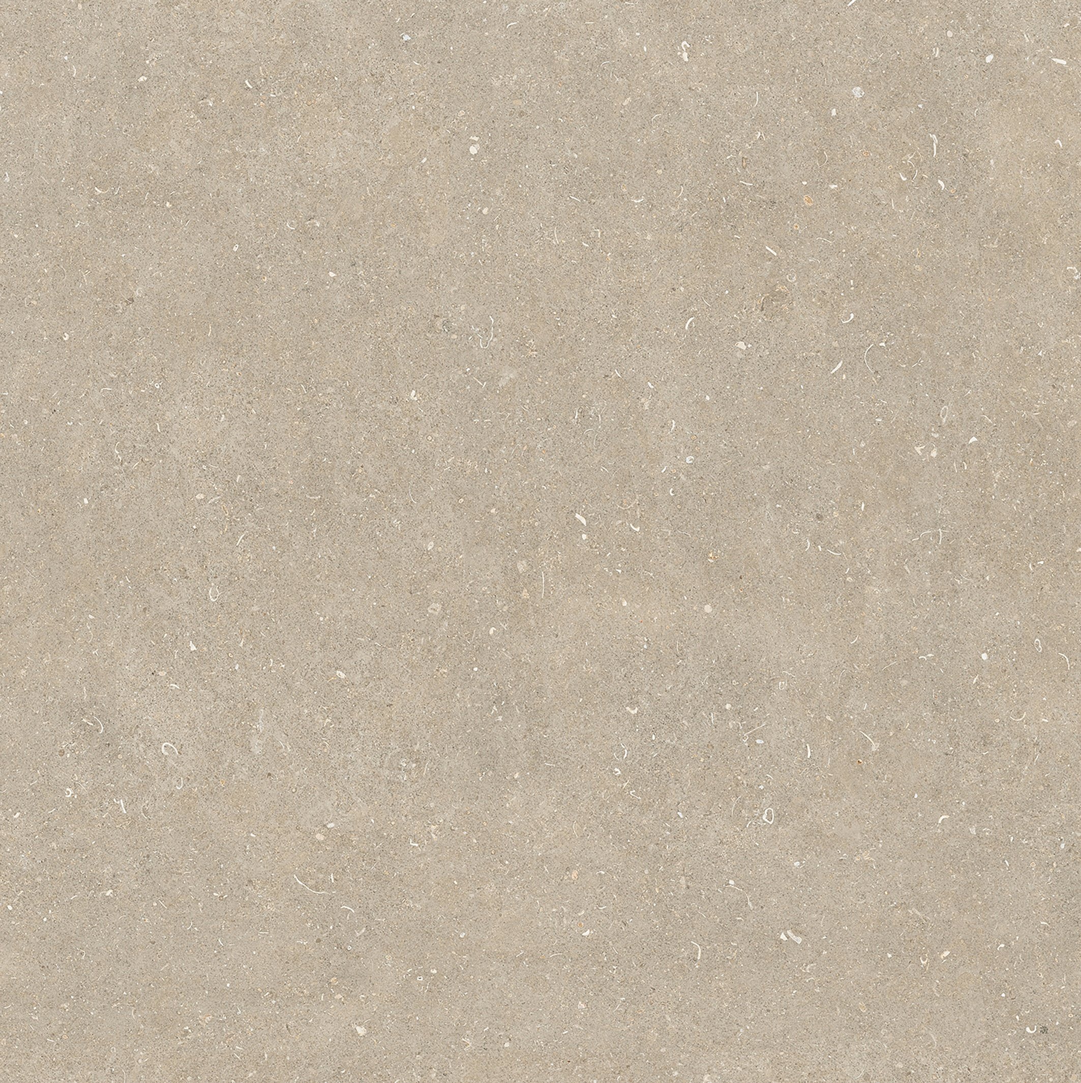 Arena Conchiglia 120x120 матовая