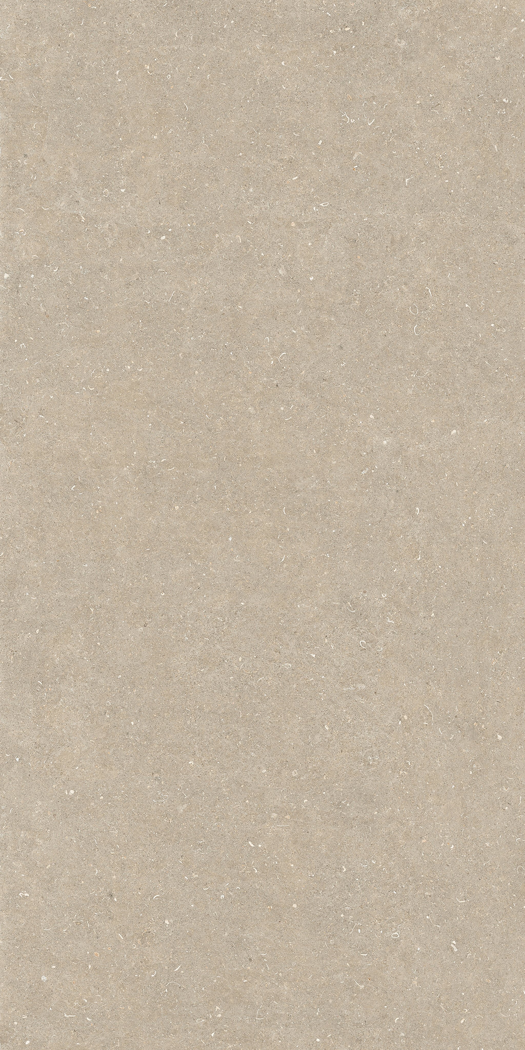 Arena Conchiglia 120x240