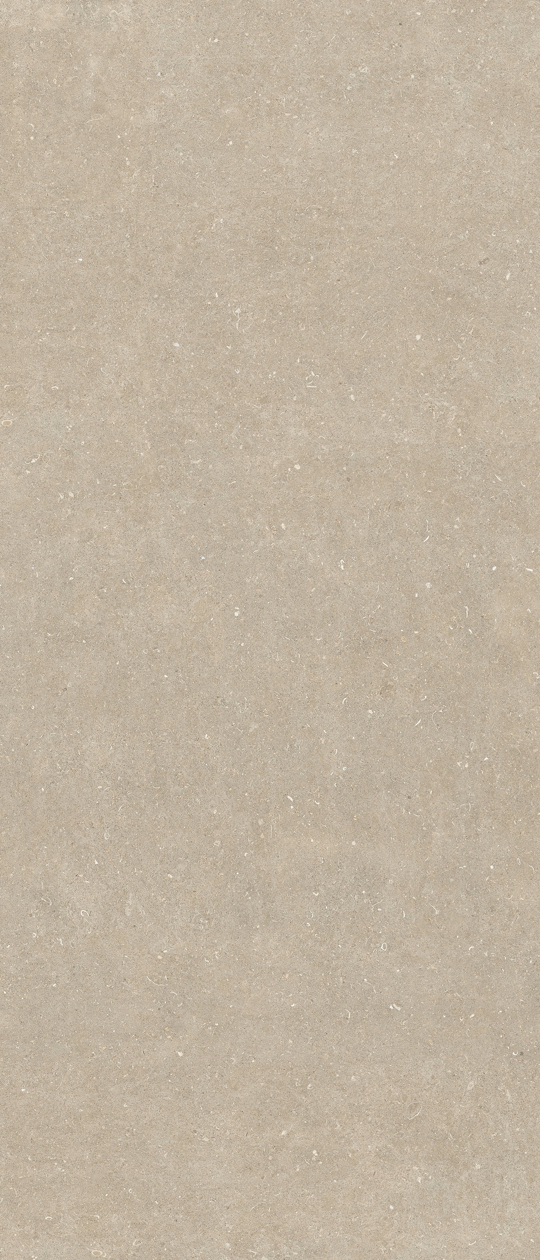 Arena Conchiglia 120x280