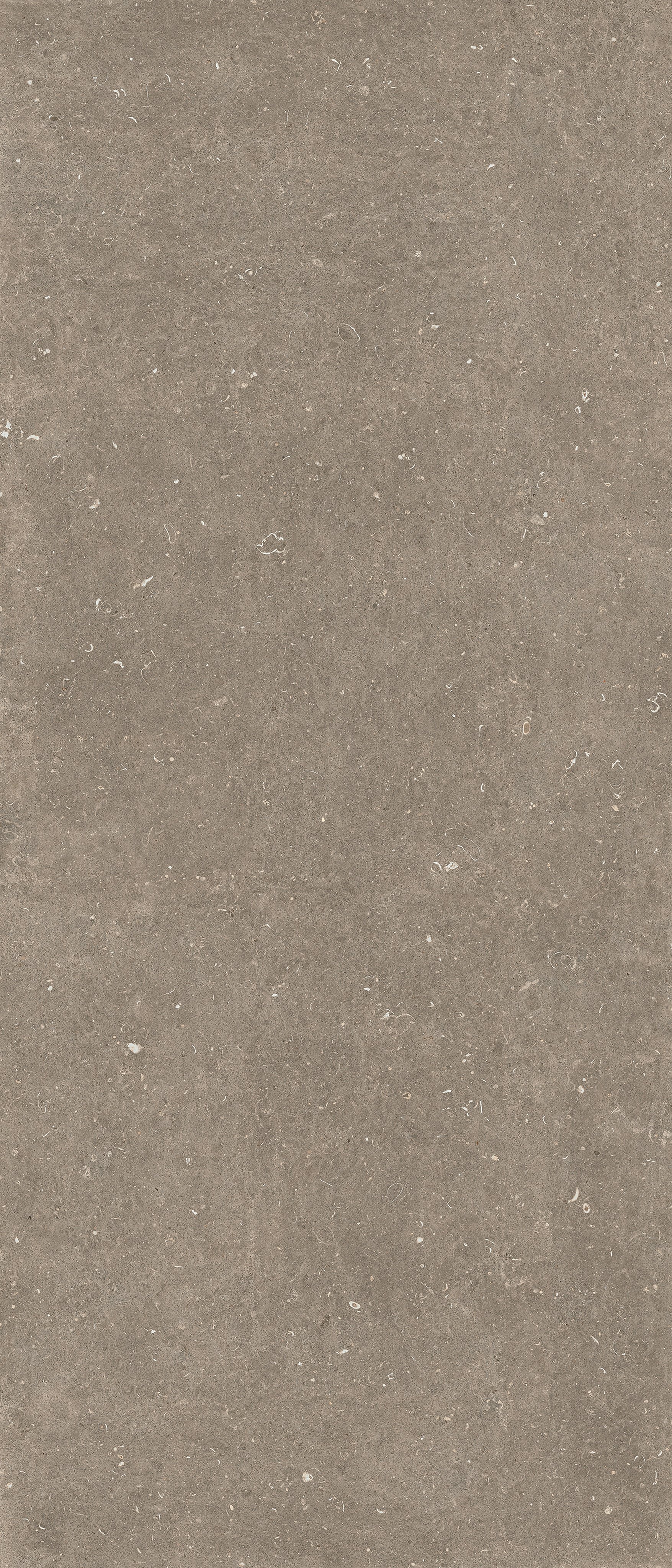 Arena Pietra 120x120 структурная