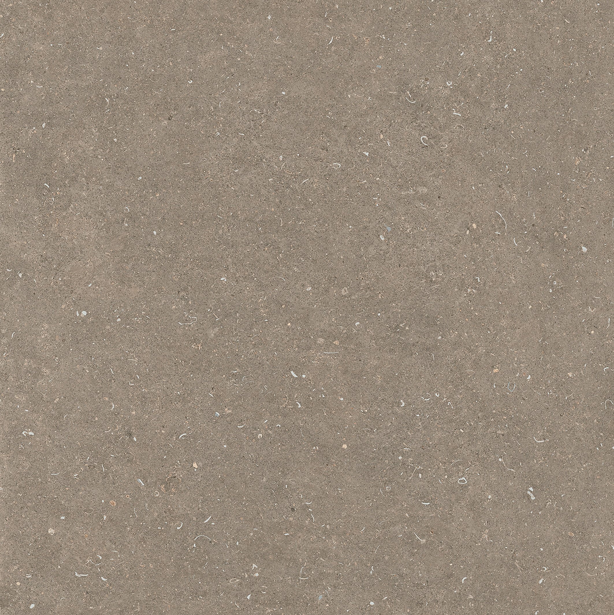 Arena Pietra 120x120 матовая