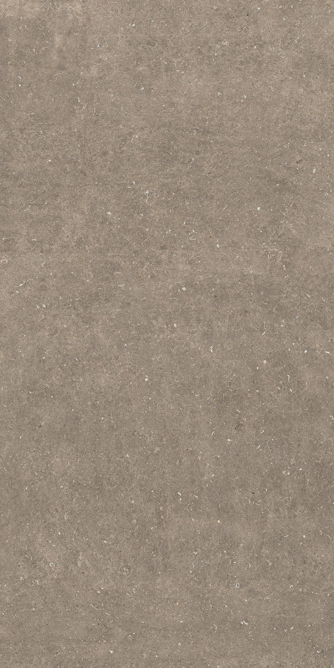Arena Pietra 120x240