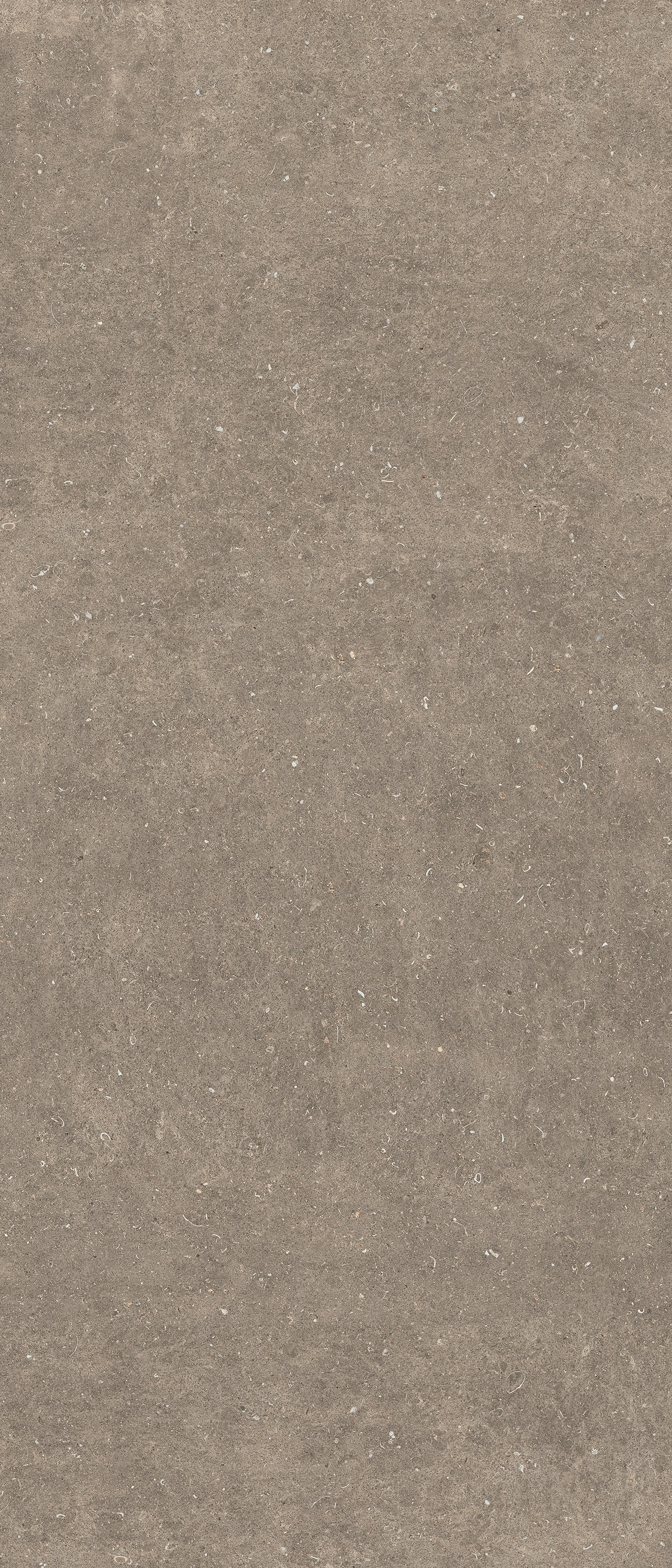 Arena Pietra 120x280