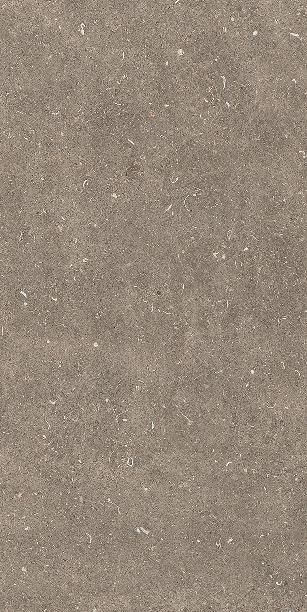 Arena Pietra 60x120 матовая 6 мм
