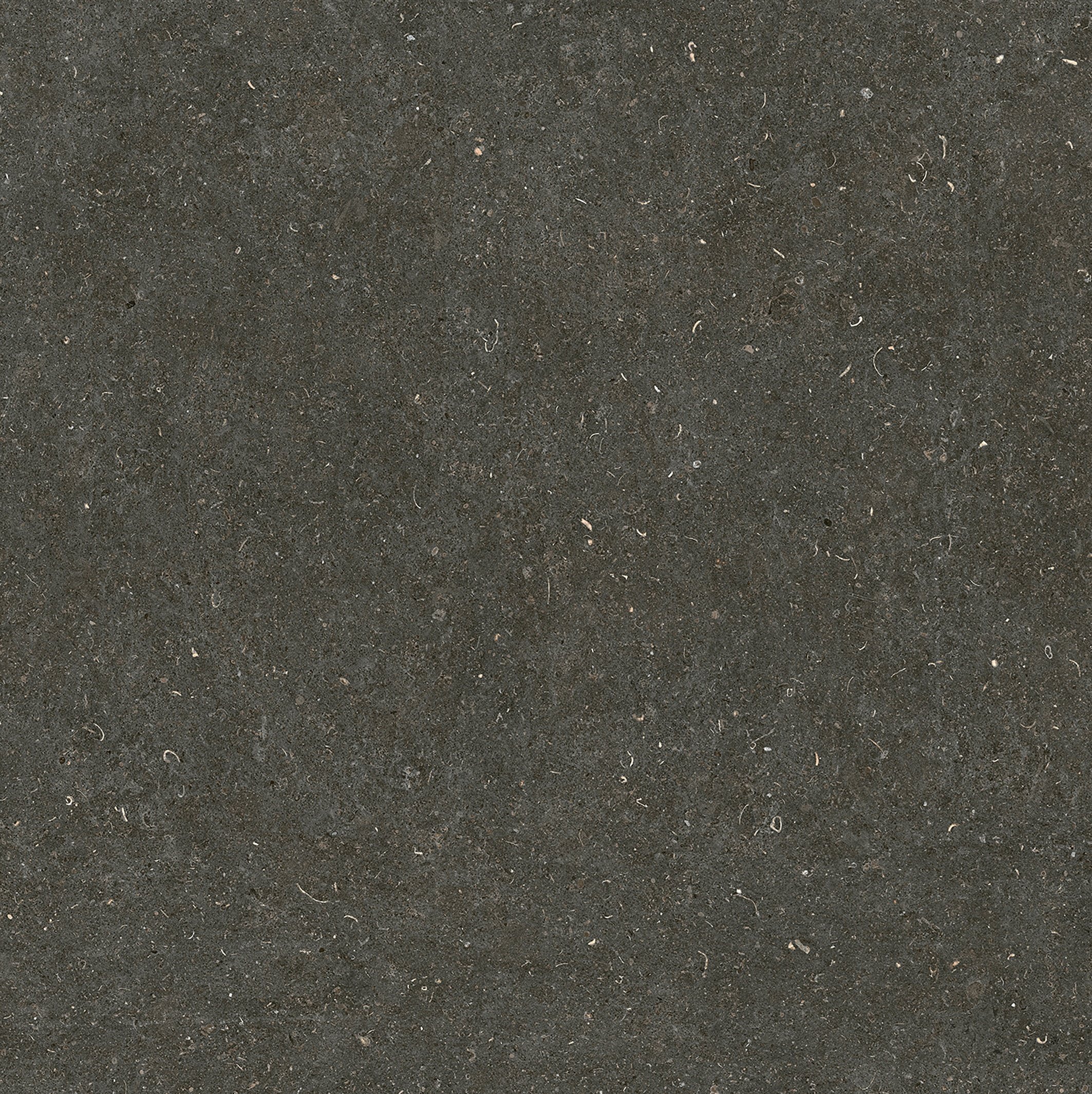 Arena Platino 120x120 матовая
