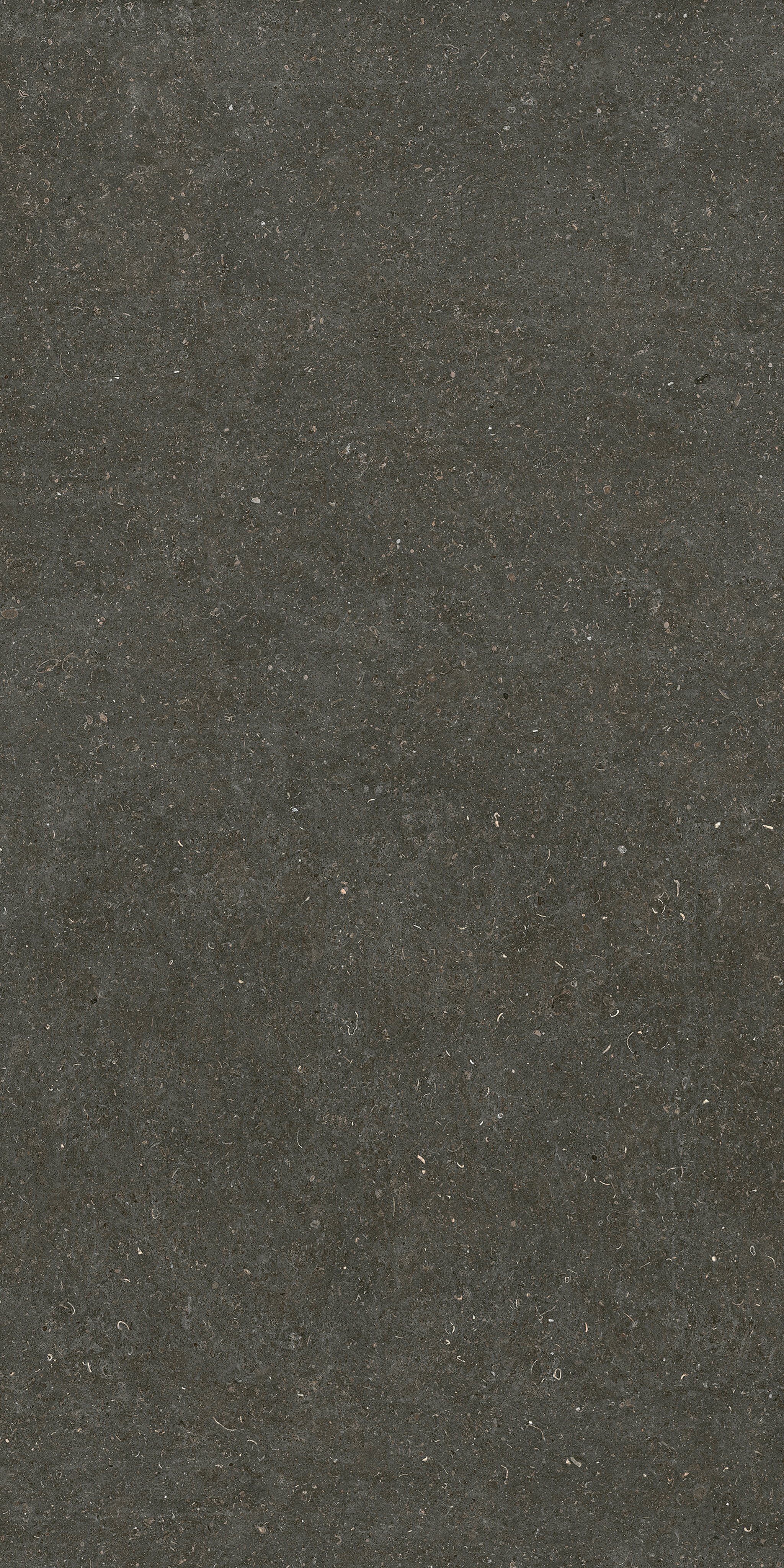 Arena Platino 120x240