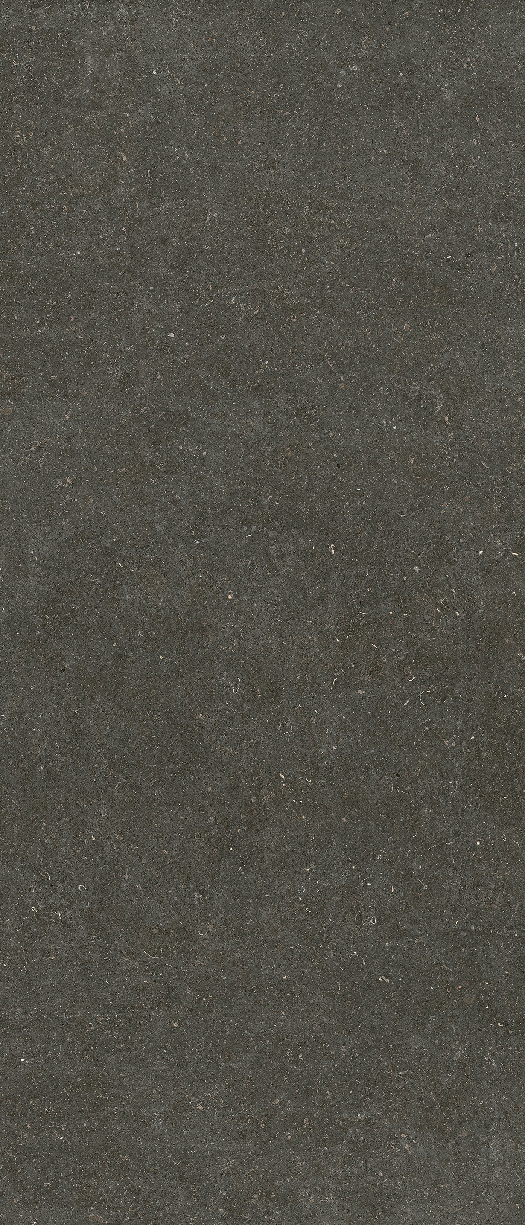 Arena Platino 120x280