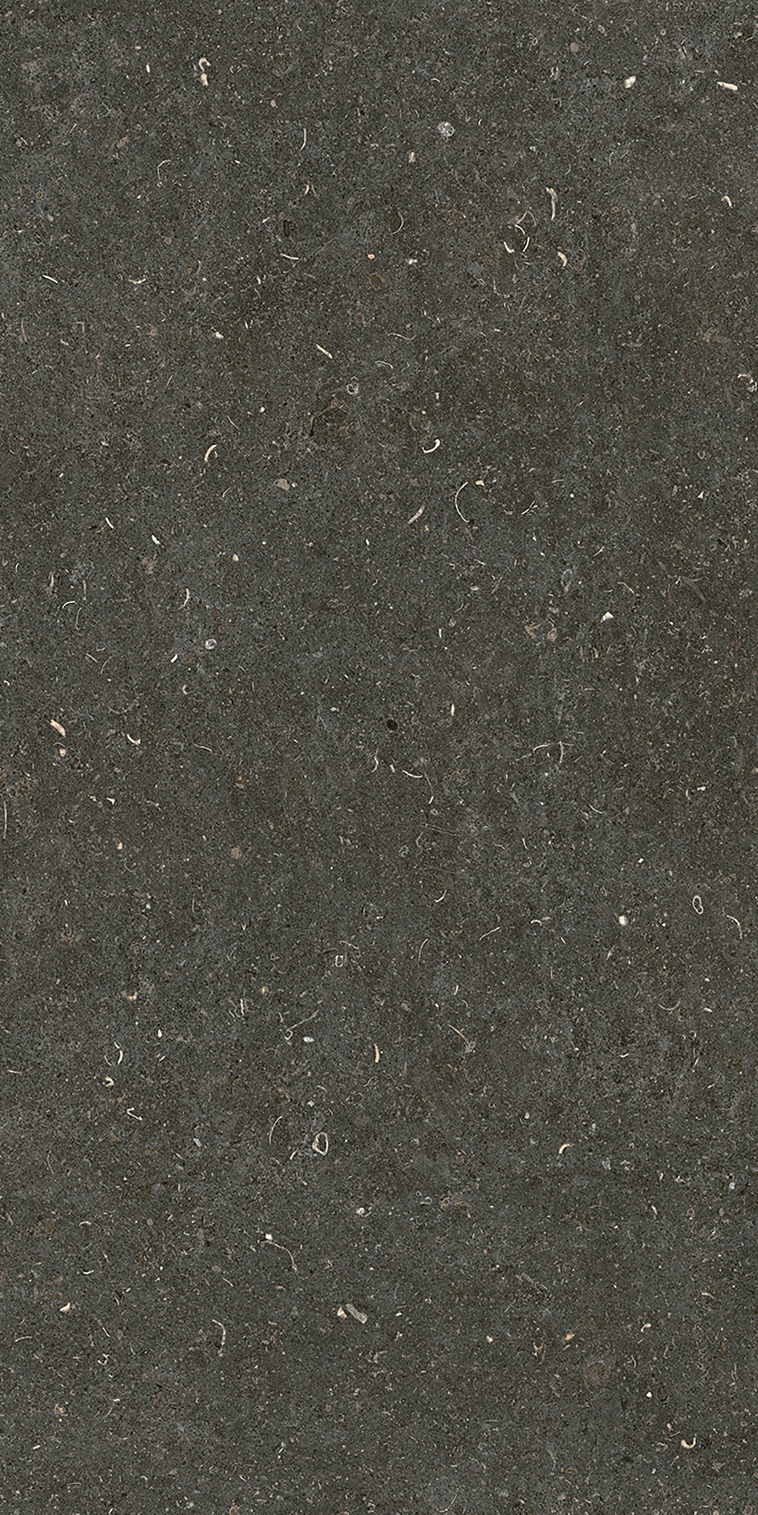 Arena Platino 60x120 матовая 6 мм